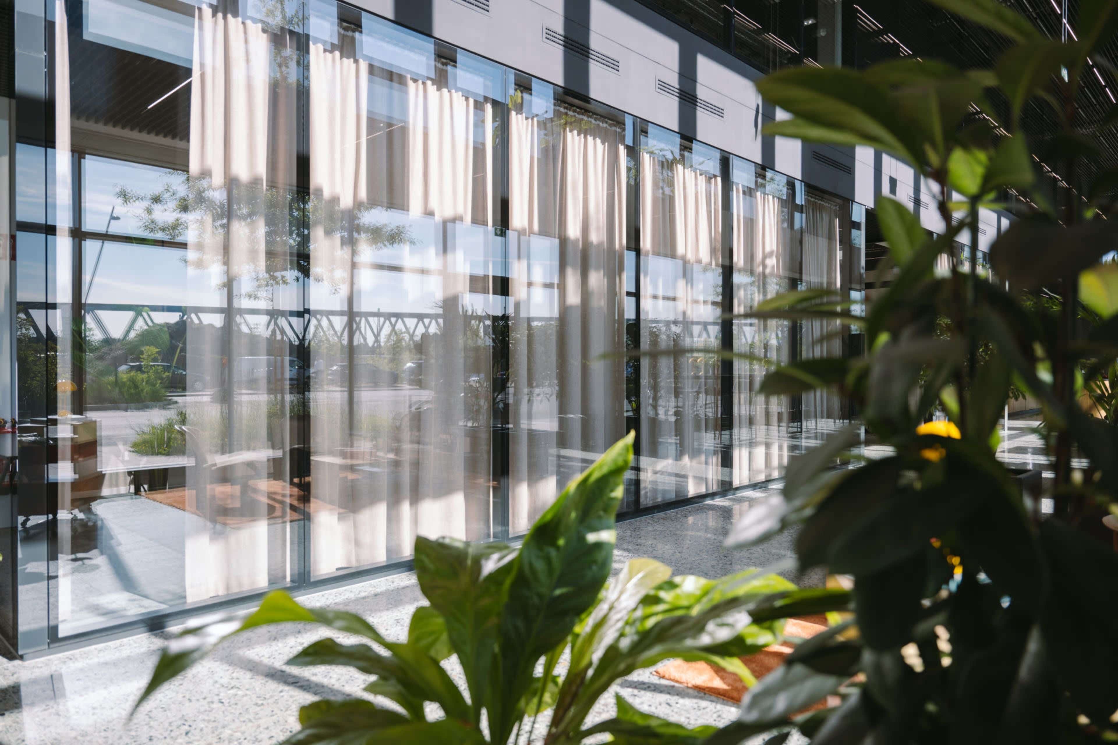 The image shows a modern indoor space with large windows covered by sheer curtains, framed by plants.