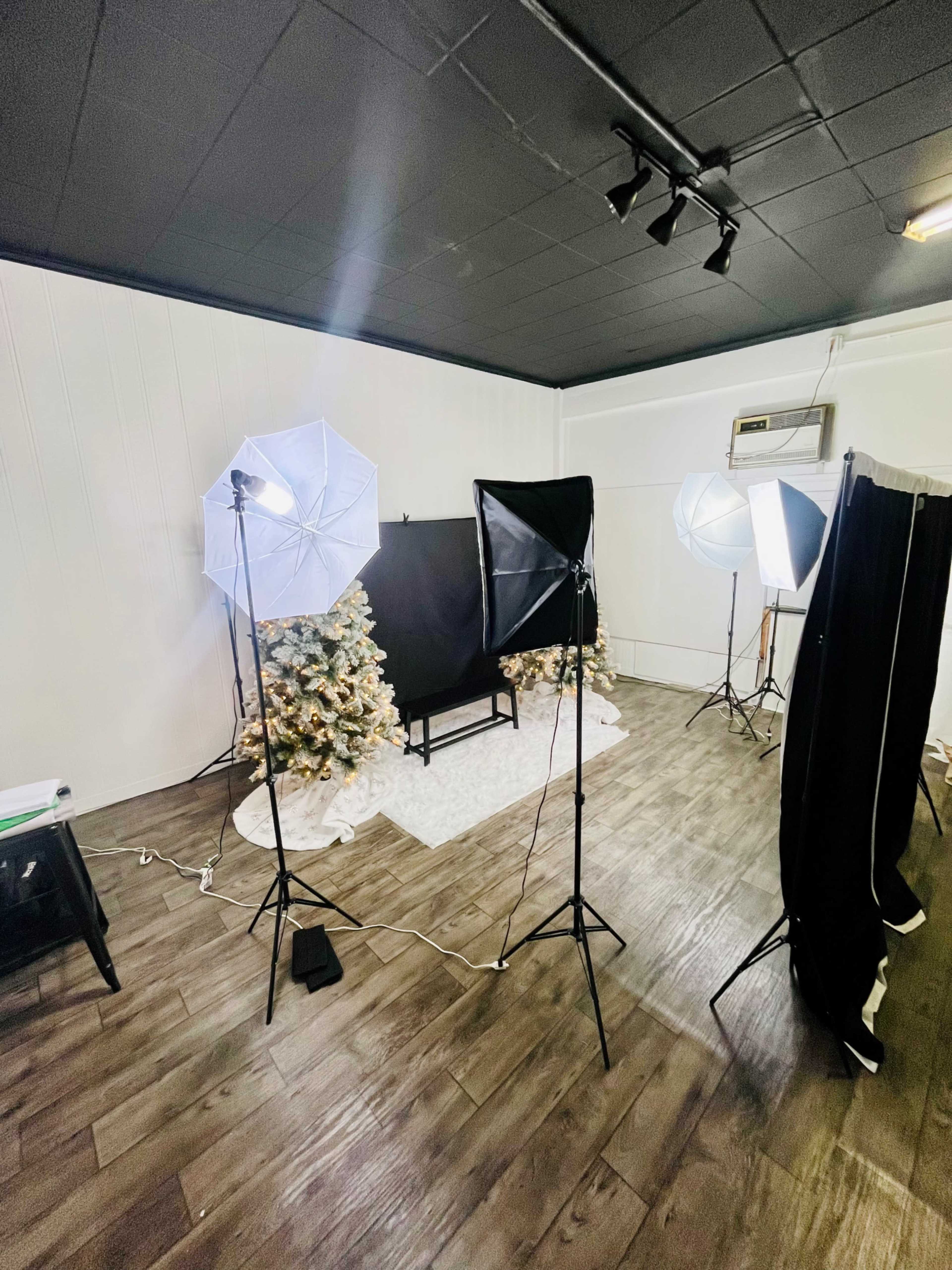 A photography setup with two light umbrellas, a backdrop, and decorated trees in a studio space.