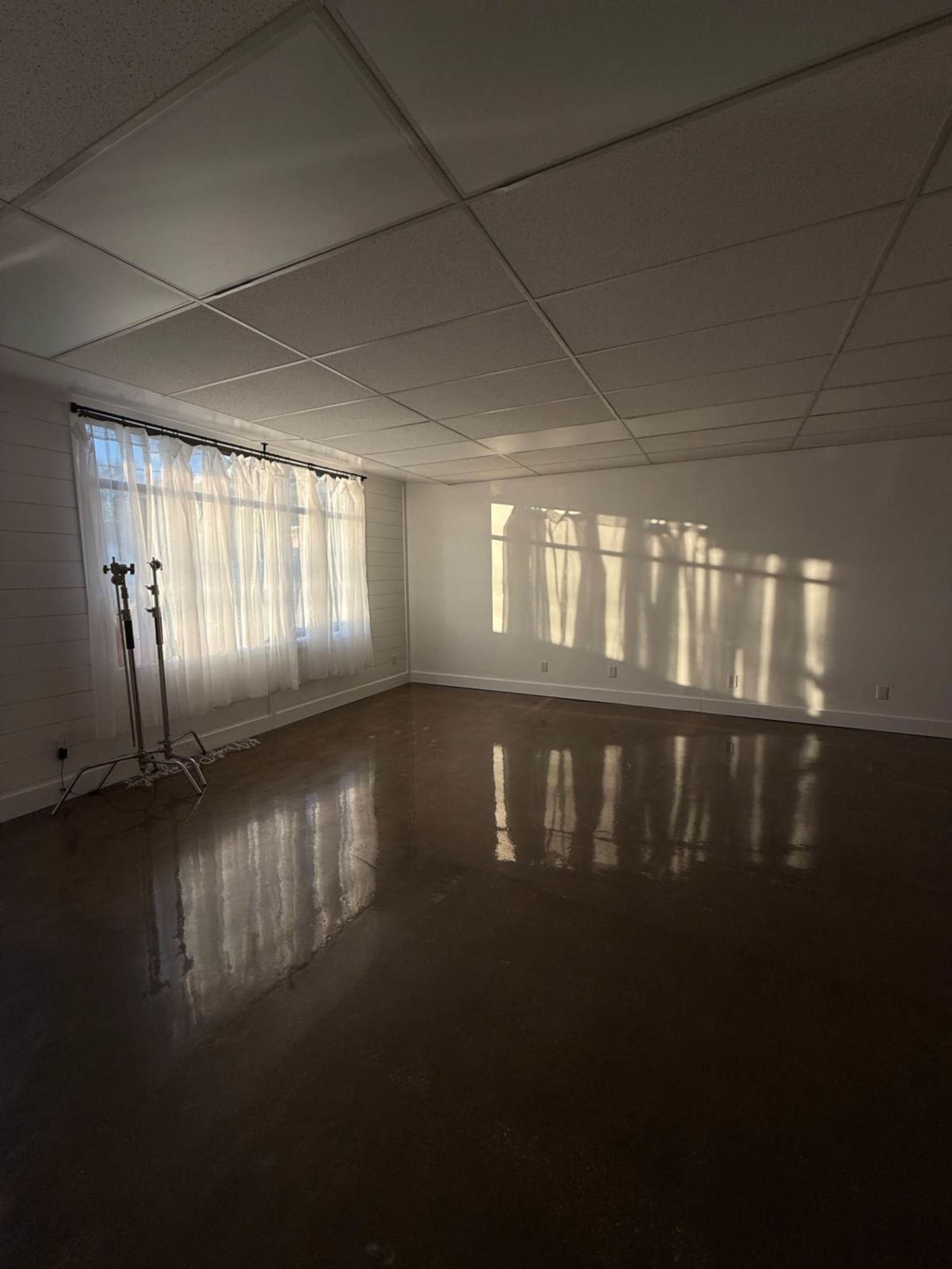 The image shows a spacious, empty room with polished concrete floors and natural light filtering through sheer curtains, casting shadows on the walls.