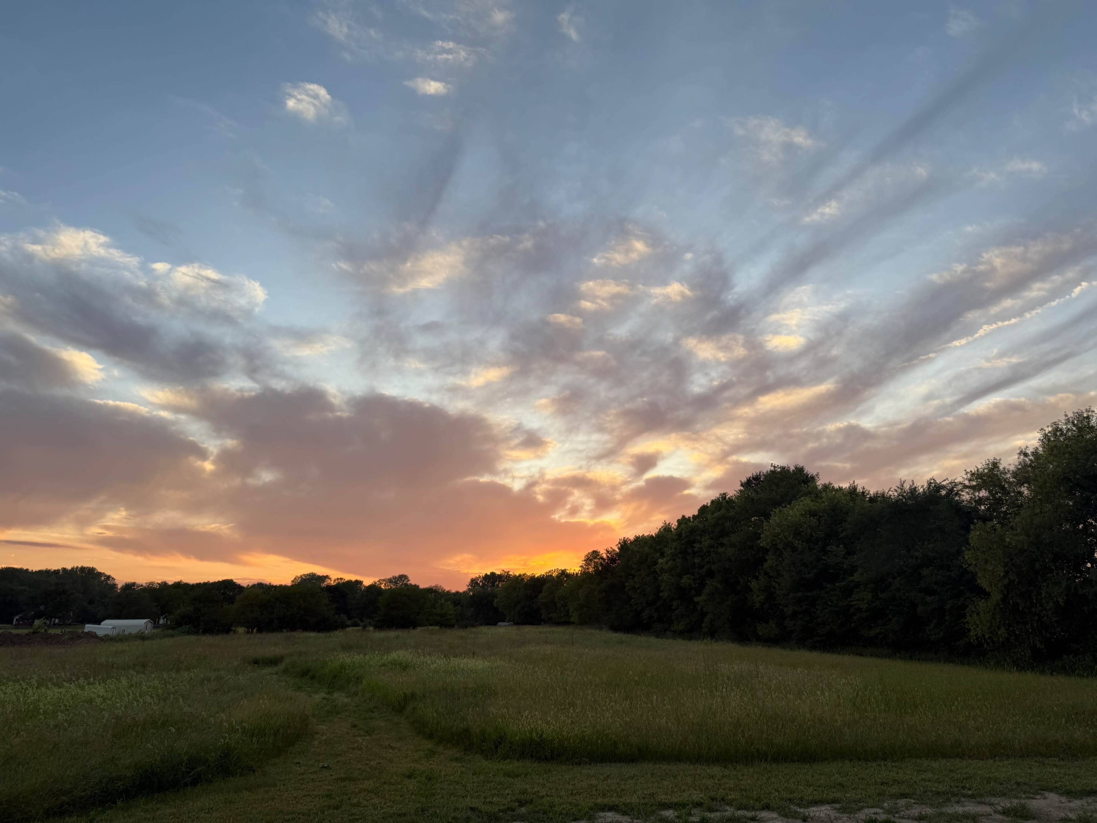 The image shows a sunset with orange and pink hues illuminating the sky, framed by trees and grassy fields.