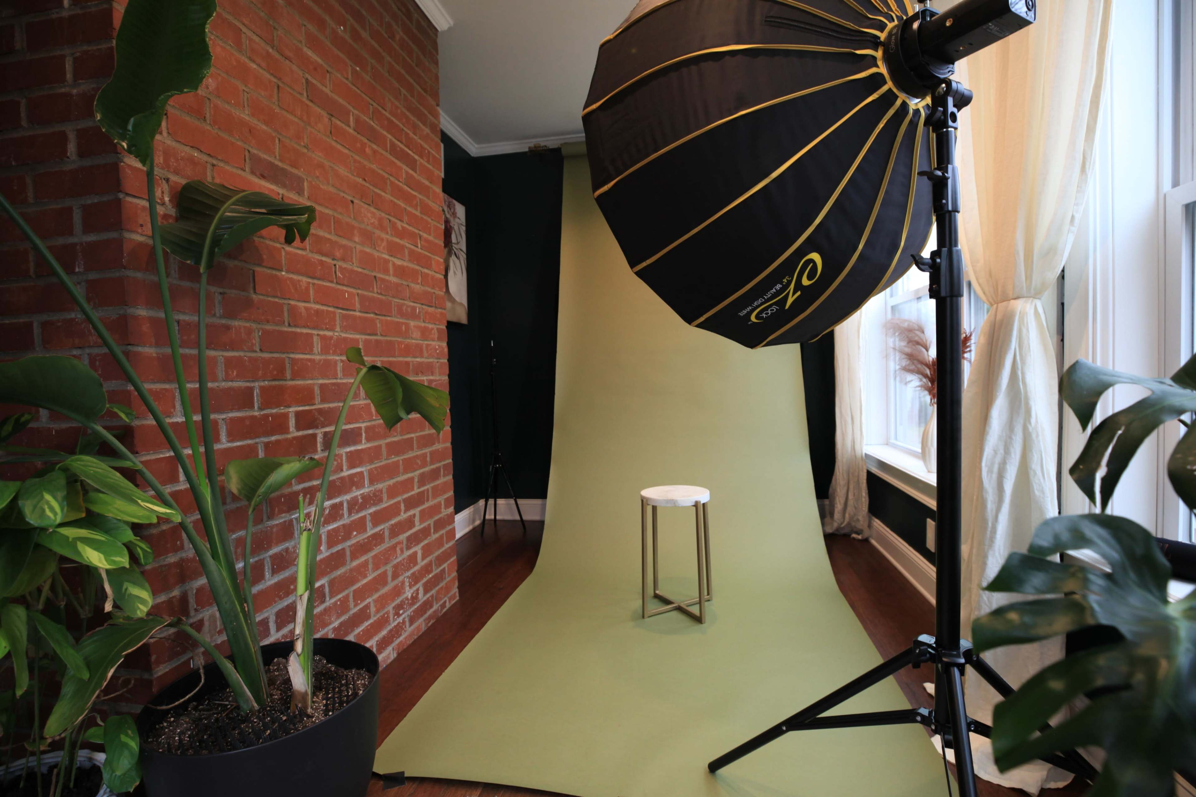 Garden House, Cozy, Peaceful, Relaxing, Studio, Downtown, Urban Image in Greenville, Greenville, SC