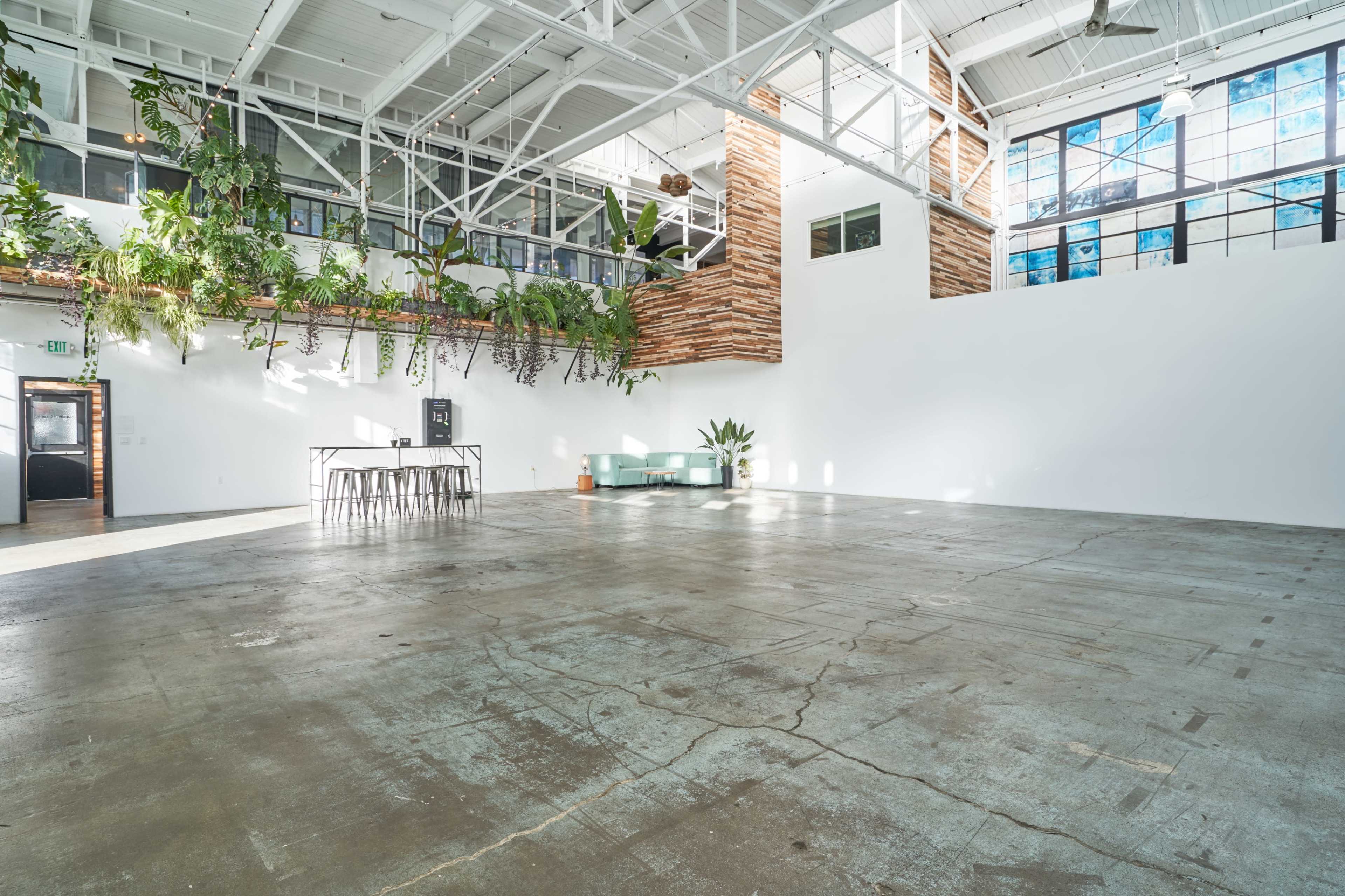 A spacious, modern indoor venue with concrete flooring, large windows, and greenery suspended from the ceiling.
