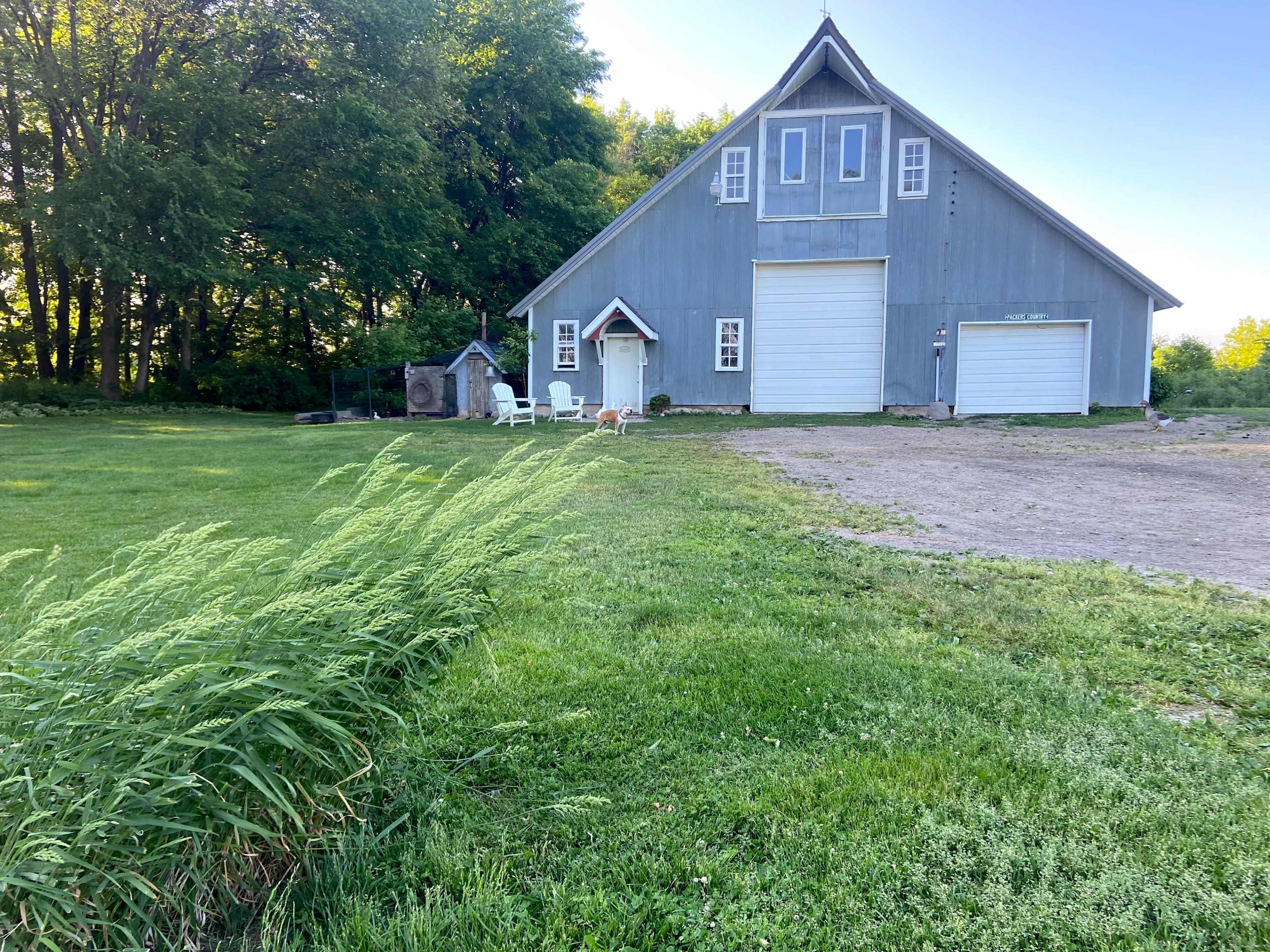 A gray barn with white garage doors sits beside a grassy area and a tree line.