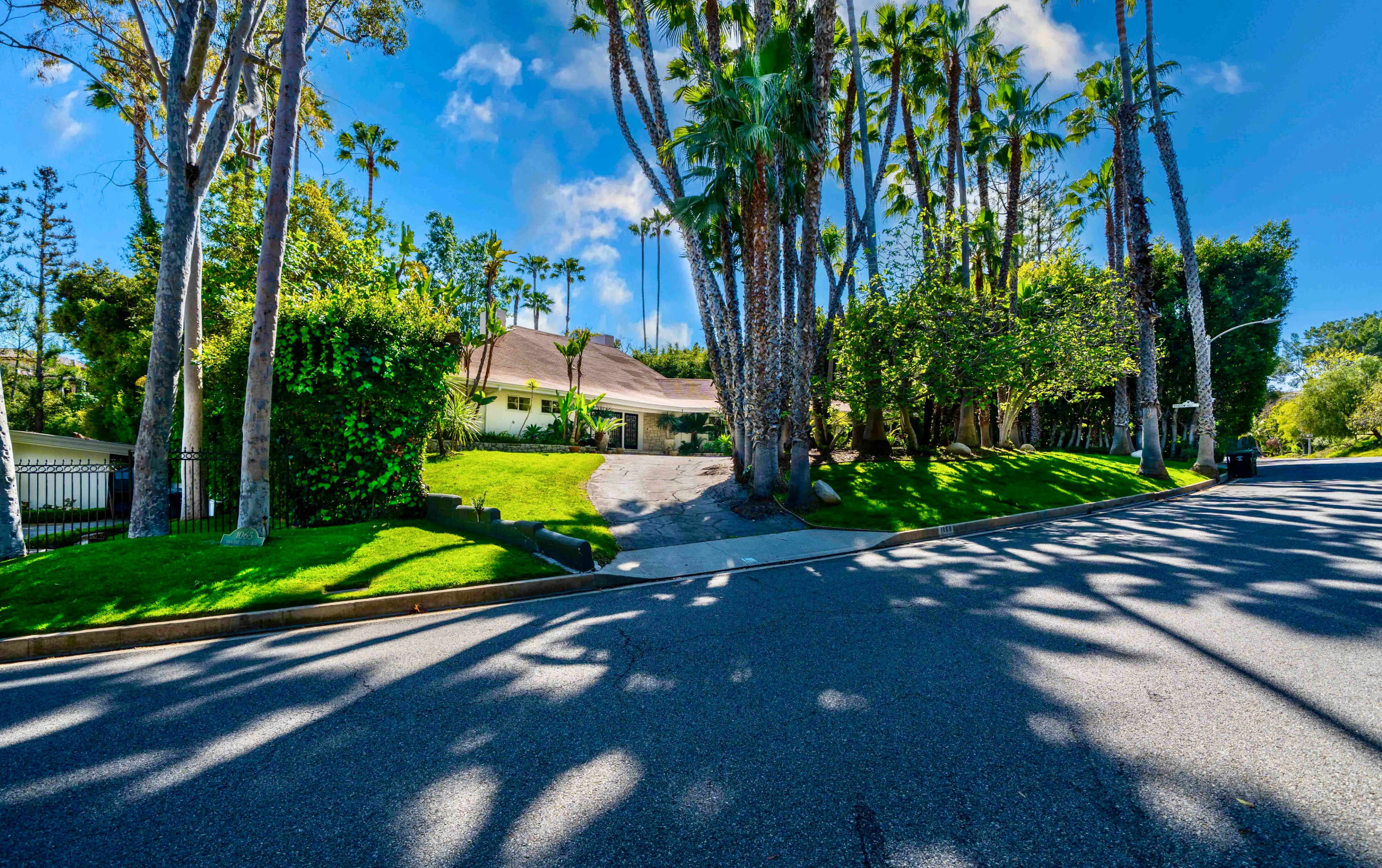 A single-story house surrounded by tall palm trees and well-maintained landscaping sits at the end of a curved driveway.