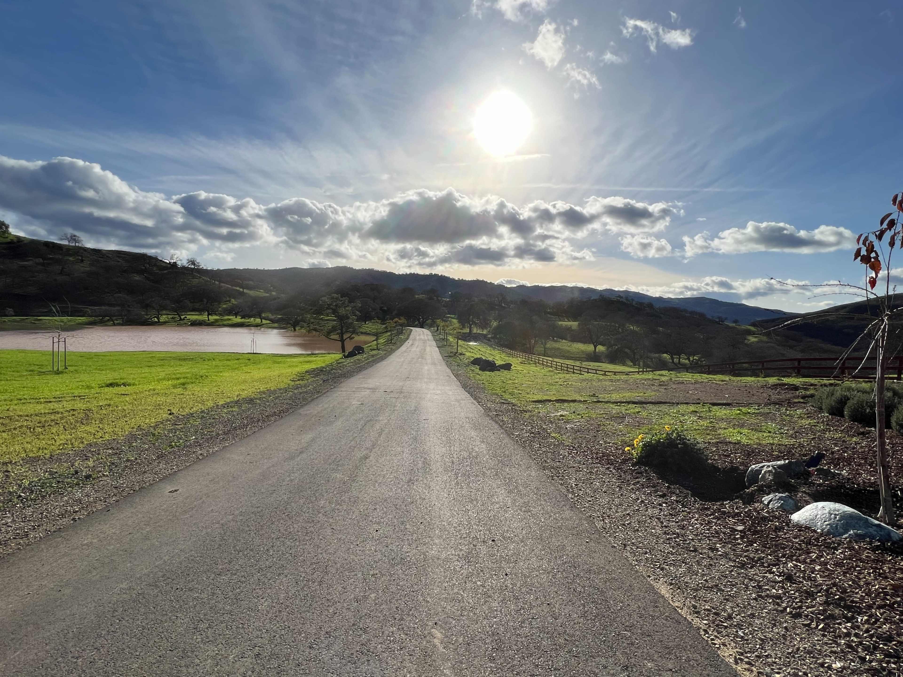 A paved road stretches into the distance under a bright sun, flanked by verdant fields and rolling hills.