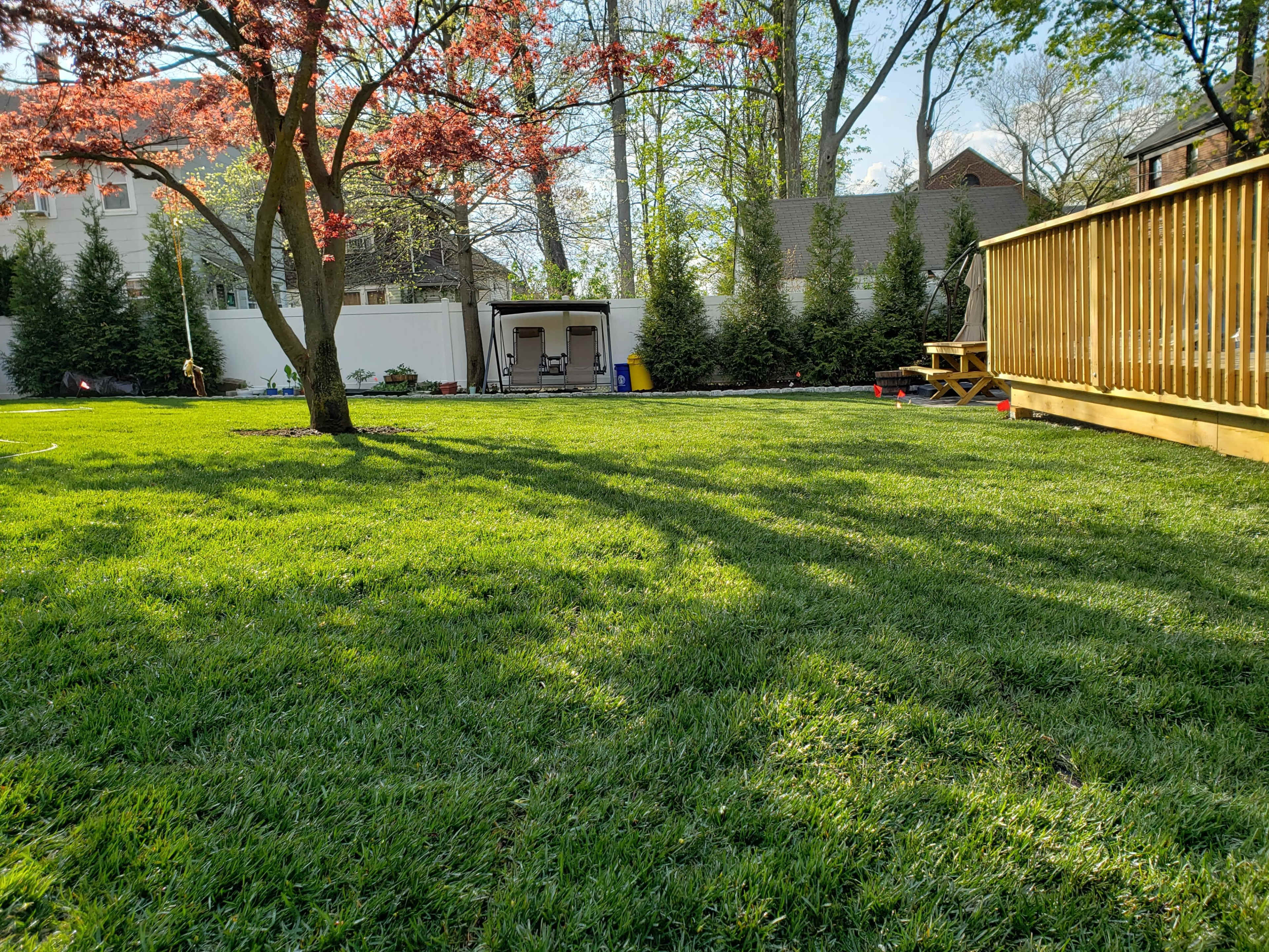 The image shows a grassy backyard with a wooden deck, a small shelter in the background, and a tree with red leaves.