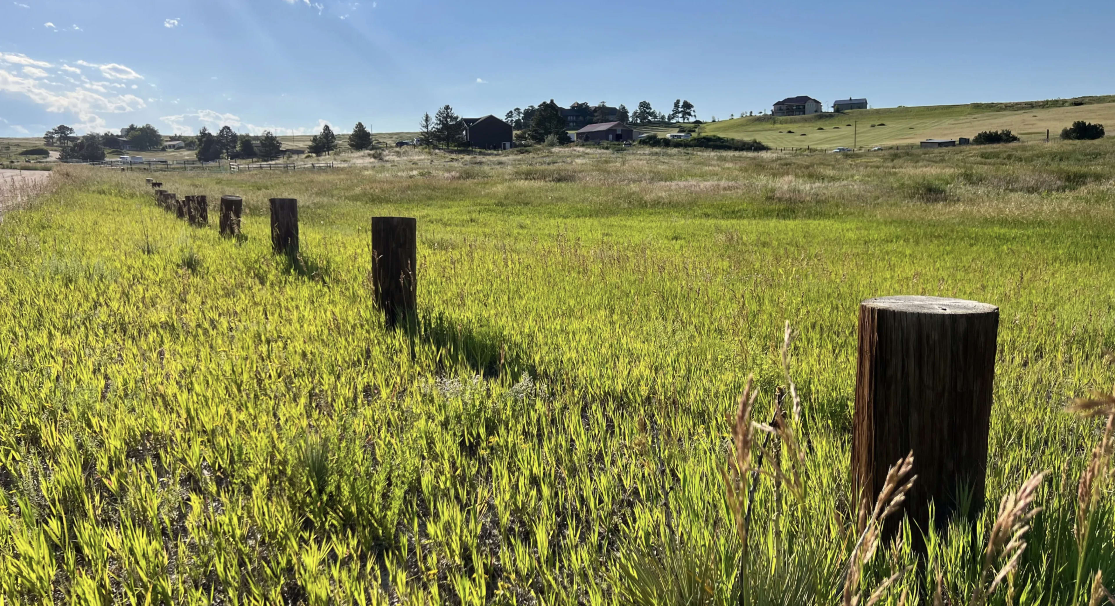 NEW LISTING - Wildflowers and Fields just 12 minutes from Downtown Parker Colorado Image in , Parker, CO