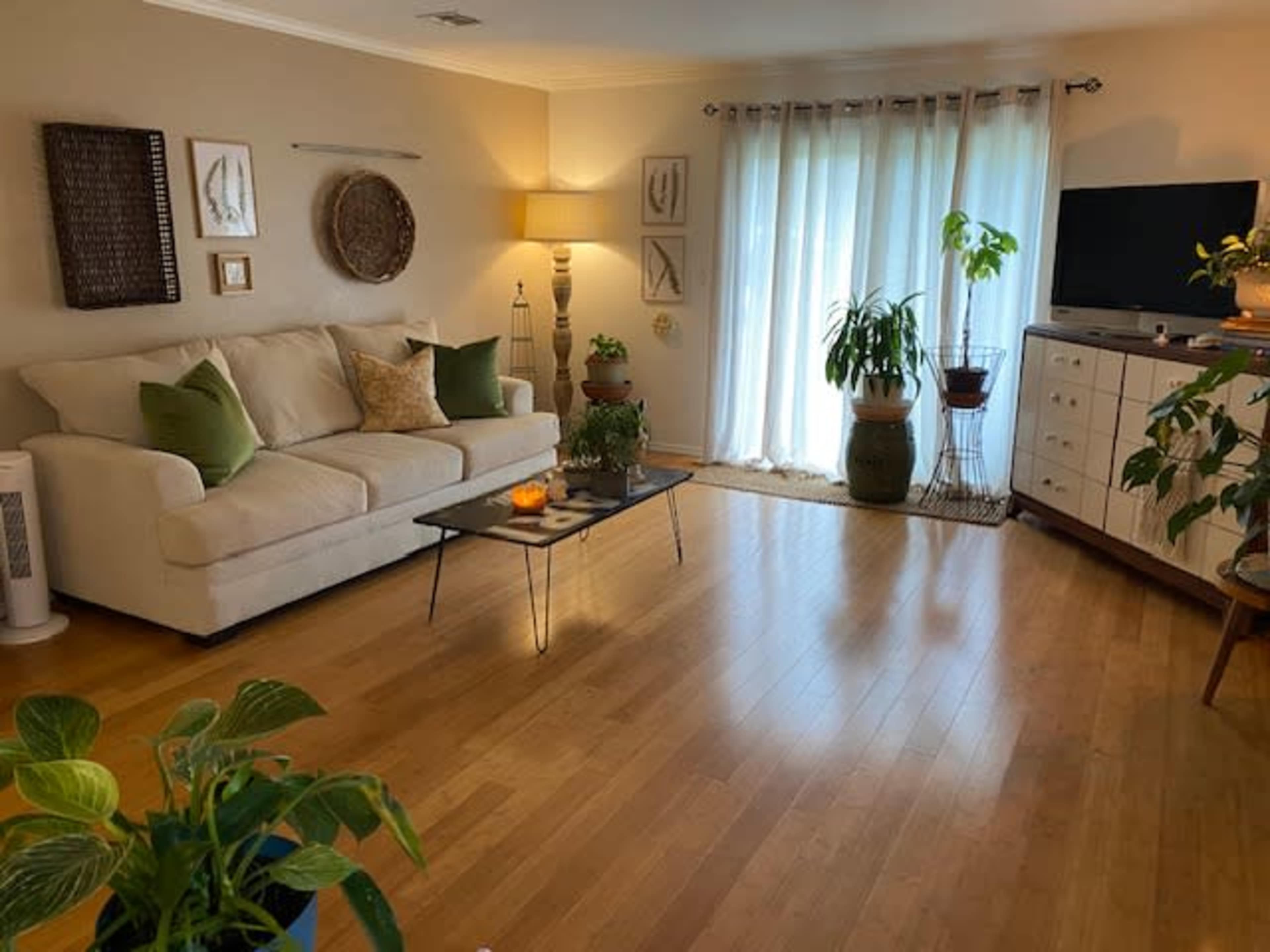 A living room with a light-colored sofa, a glass coffee table, indoor plants, and large windows draped with sheer curtains.