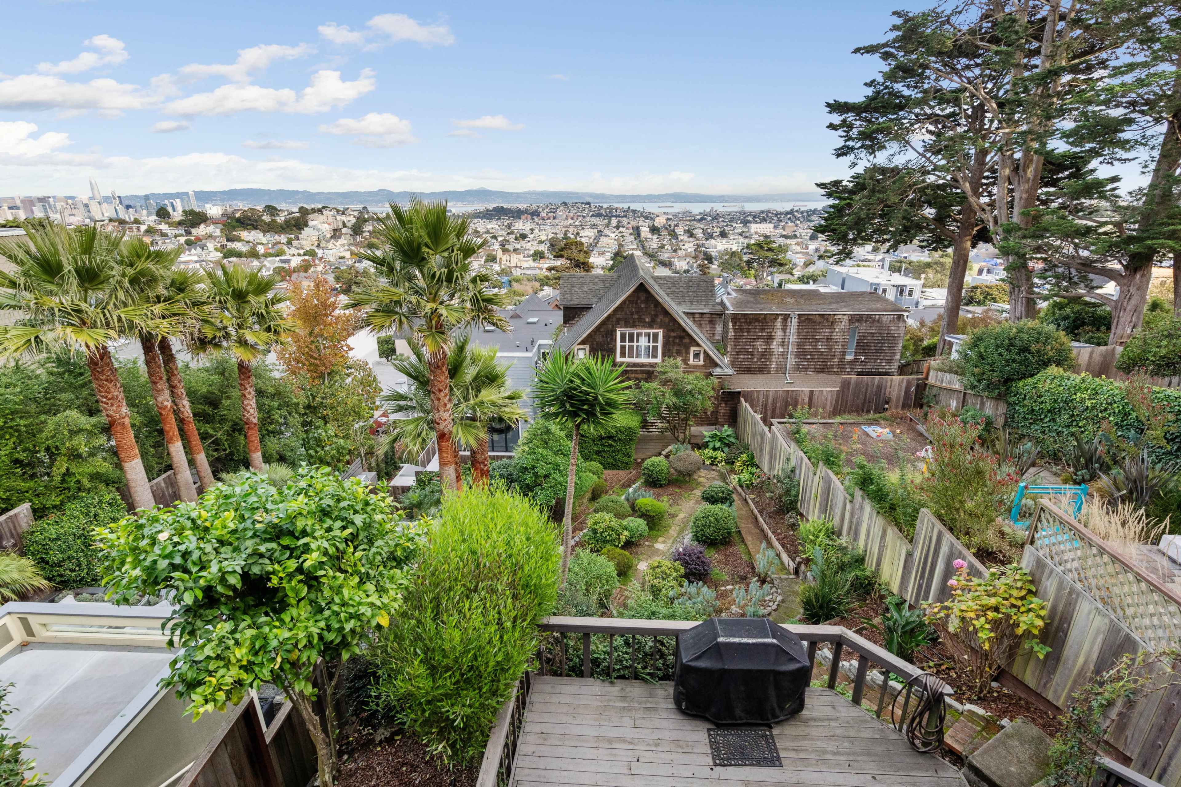 The image shows a hillside garden with various plants and trees overlooking a cityscape in the distance.