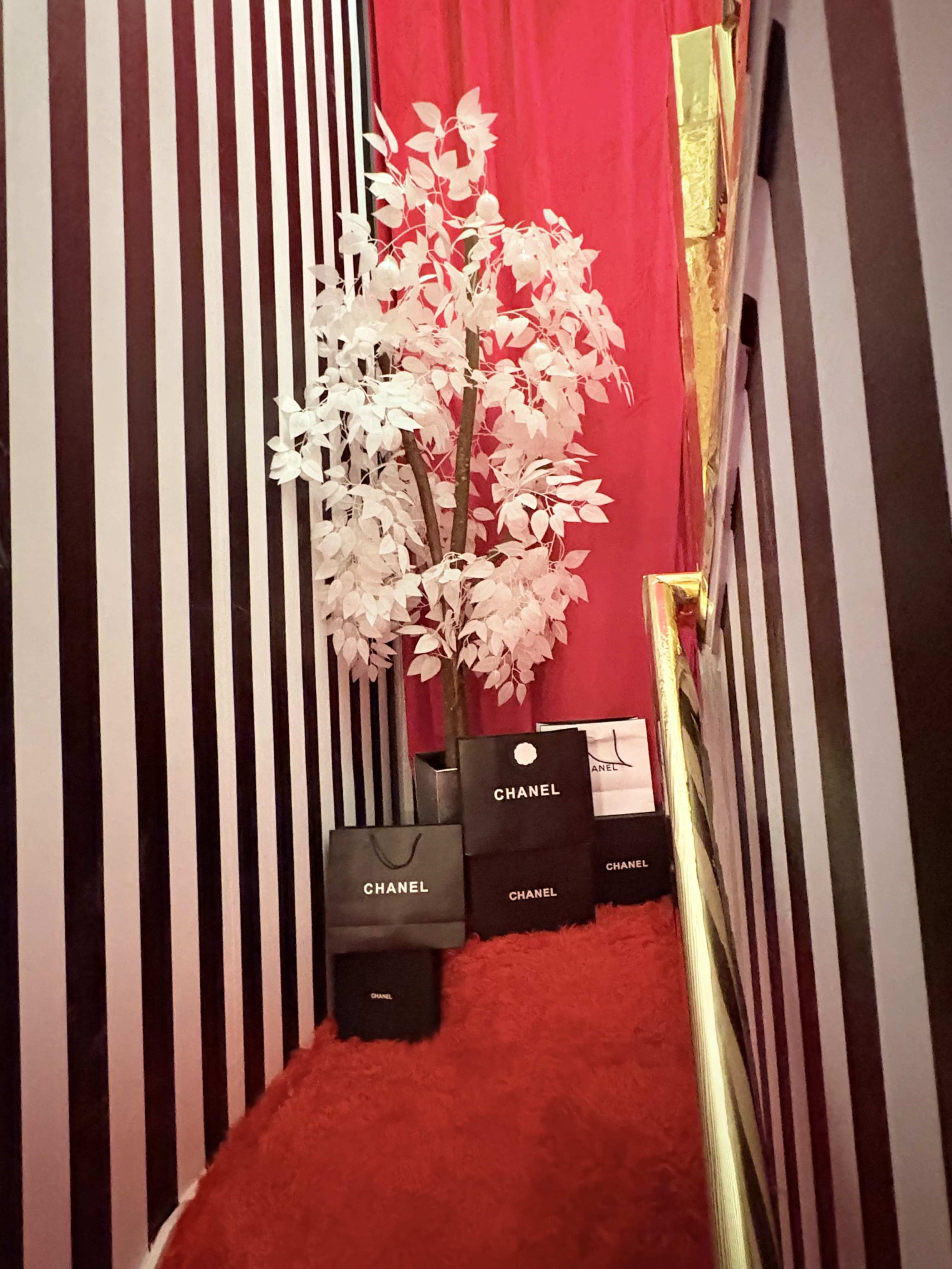 Dallas - Doll Palace Image in Irving, Irving, TX