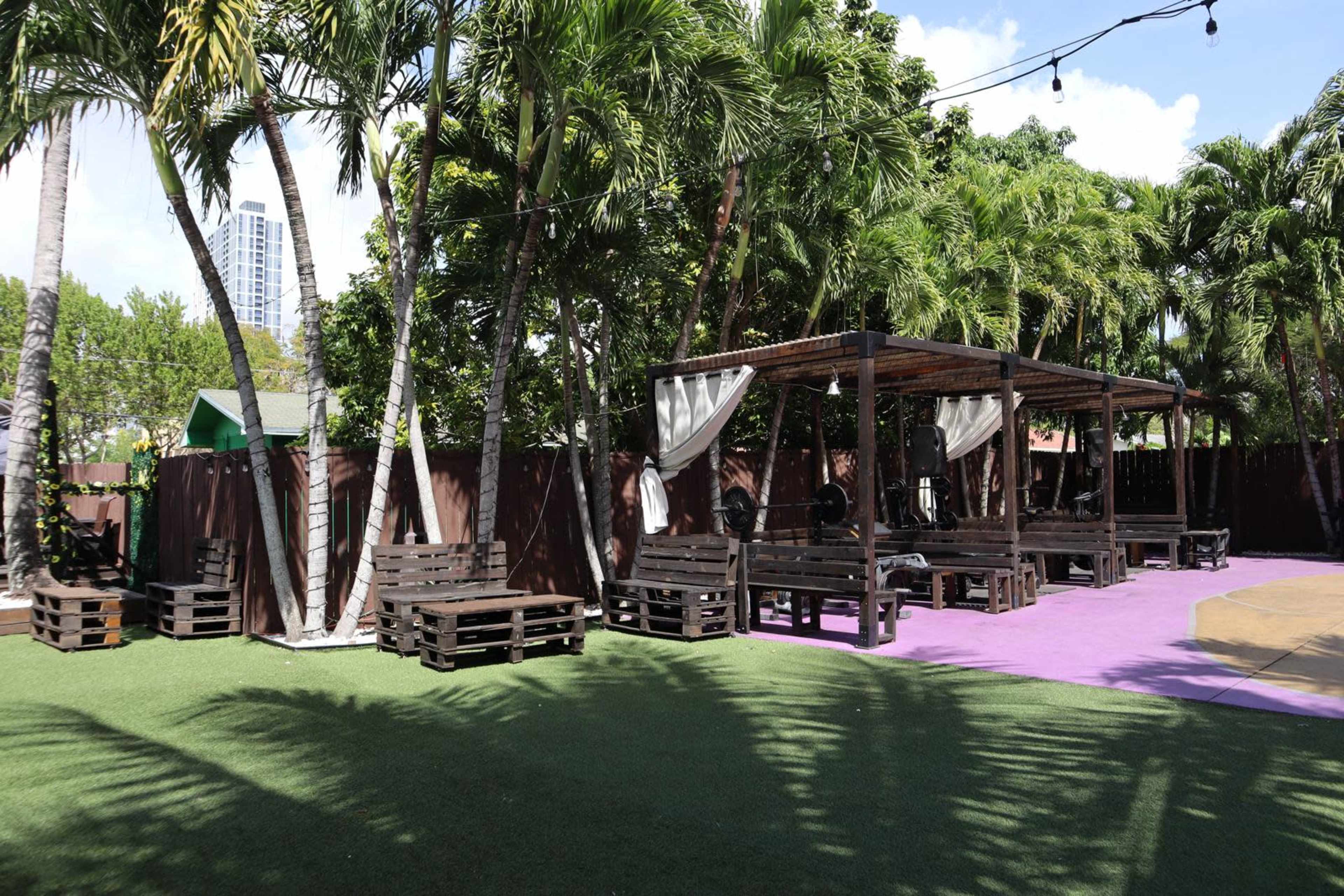 Coconut Grove Oasis Image in Coconut Grove, Miami, FL