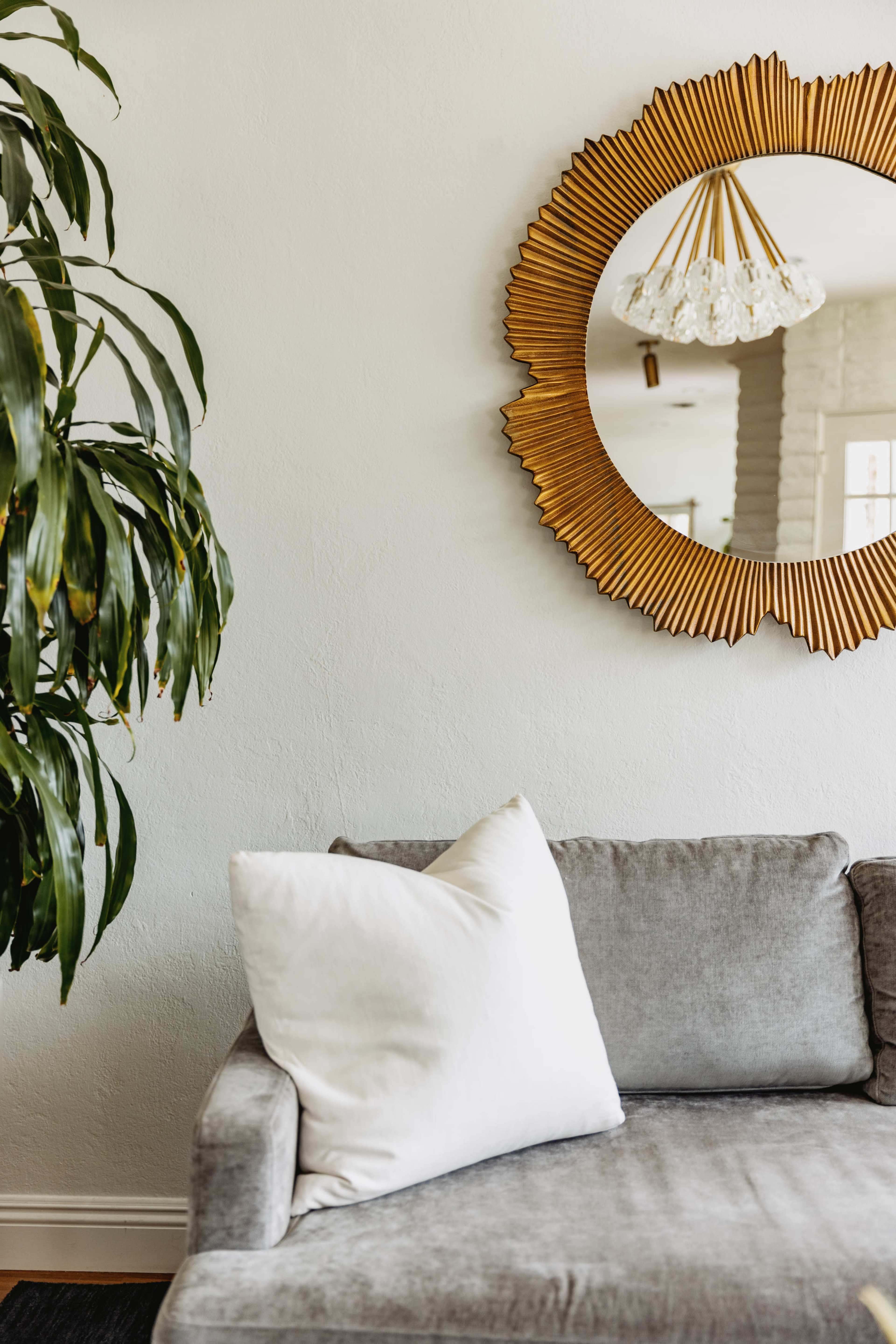 A gray sofa with a white pillow is positioned beneath a round, ornate mirror on a light-colored wall, next to a large green plant.