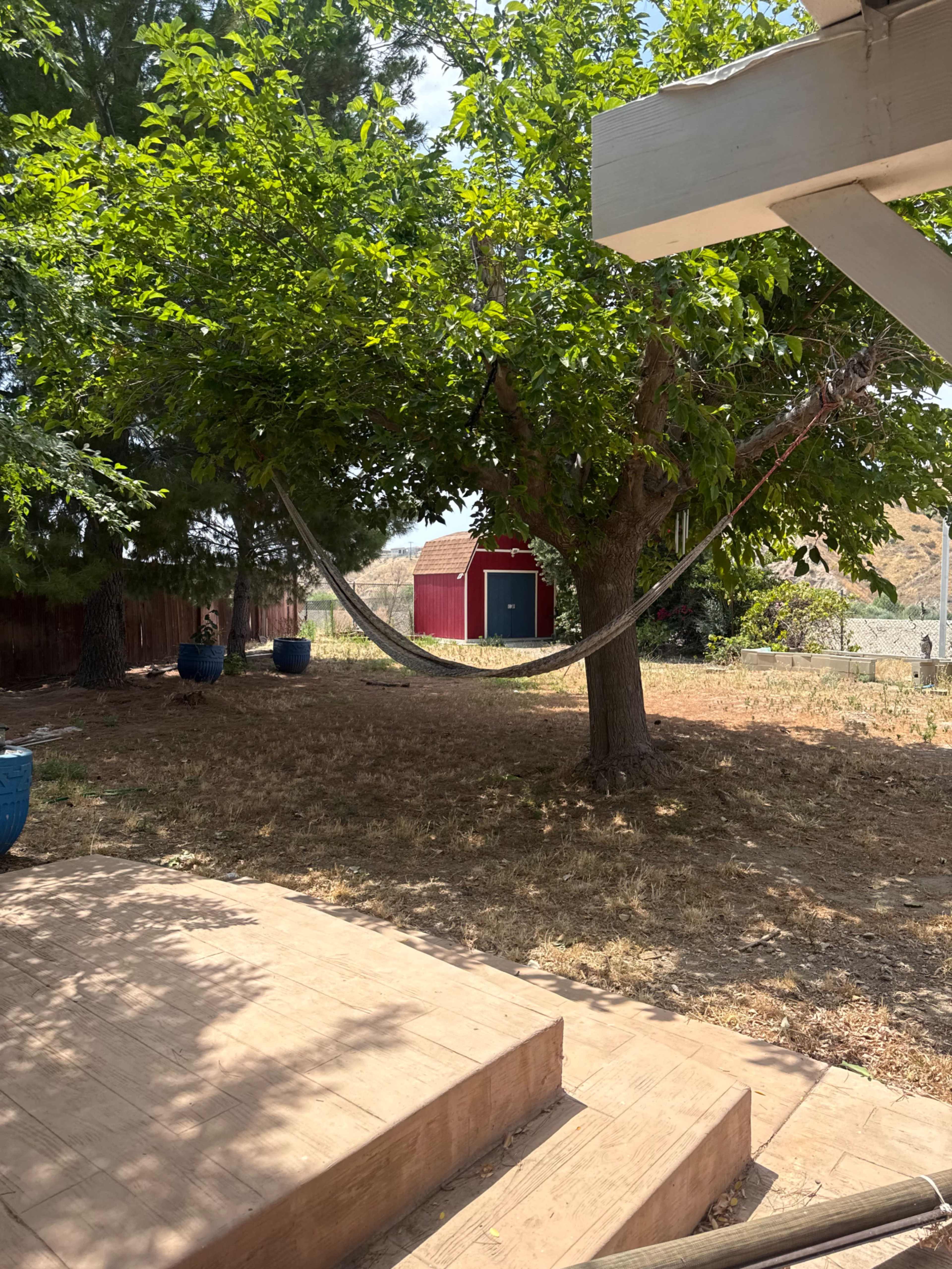A red shed stands in the background under a tree, with a hammock hanging between two trees in a grassy yard.