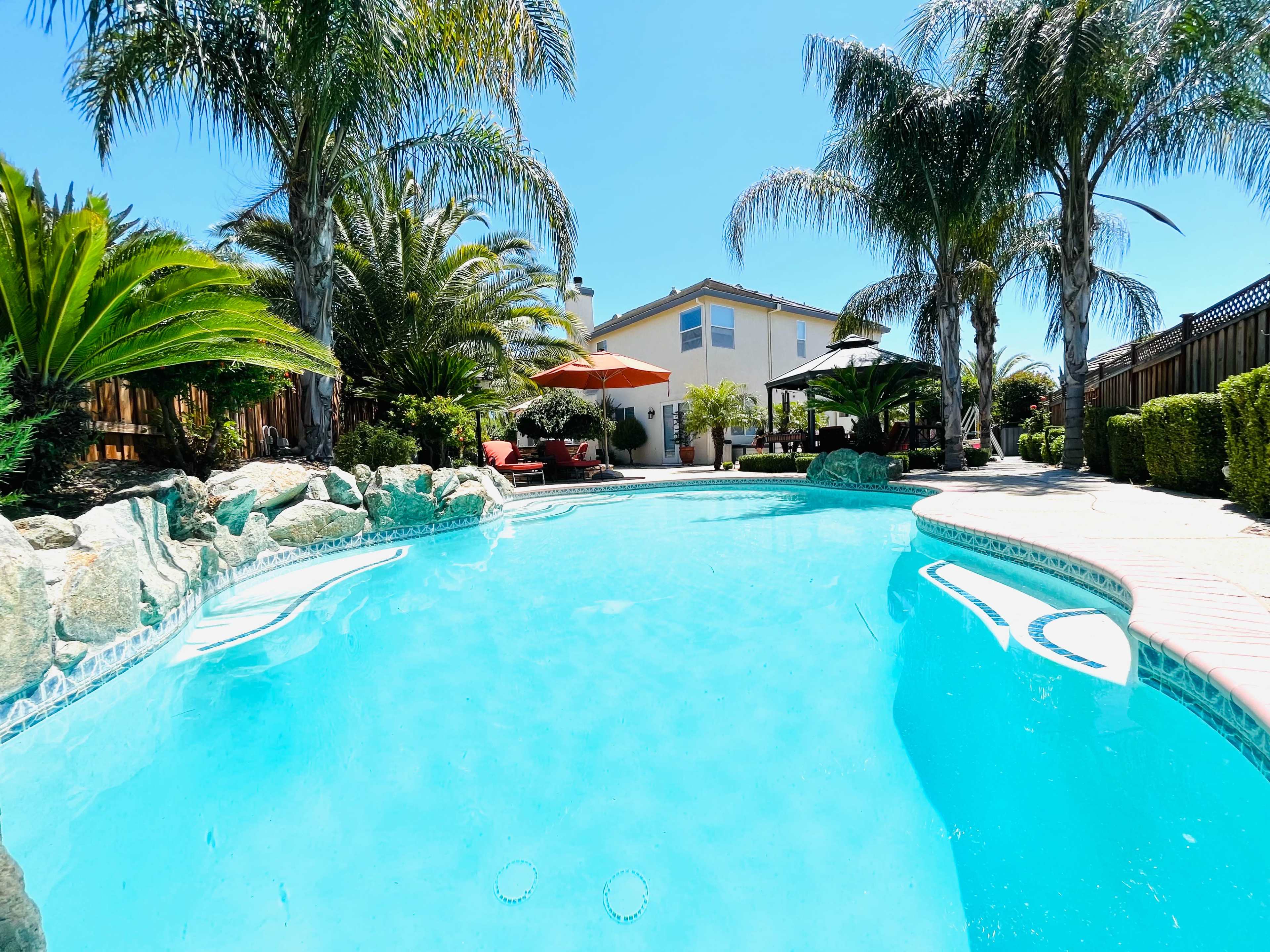 A clear blue swimming pool surrounded by palm trees, lush greenery, and a two-story house in the background.