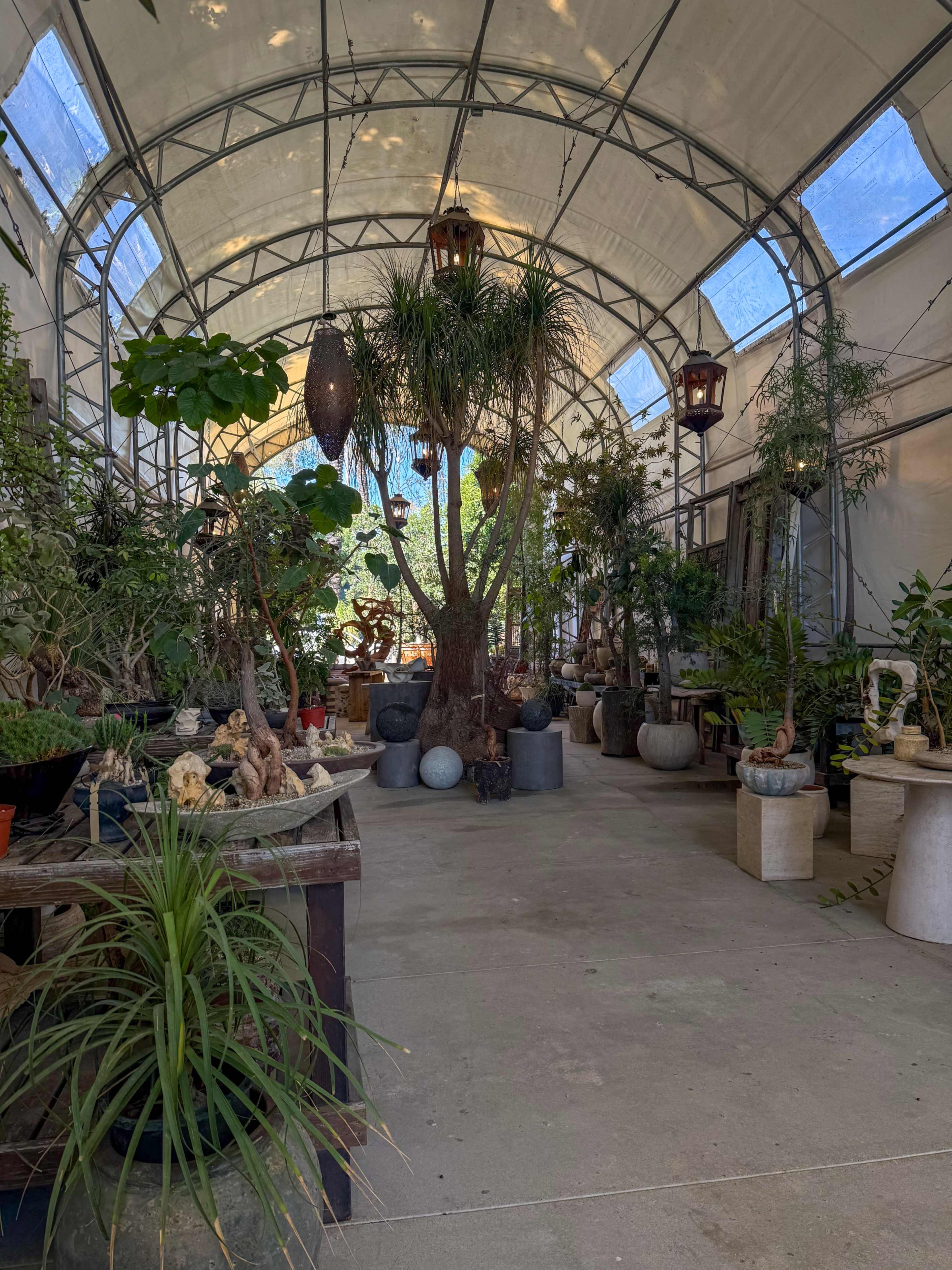 Plant-Filled Greenhouse with Outdoor Gathering Area Image in East Irvine, Irvine, CA