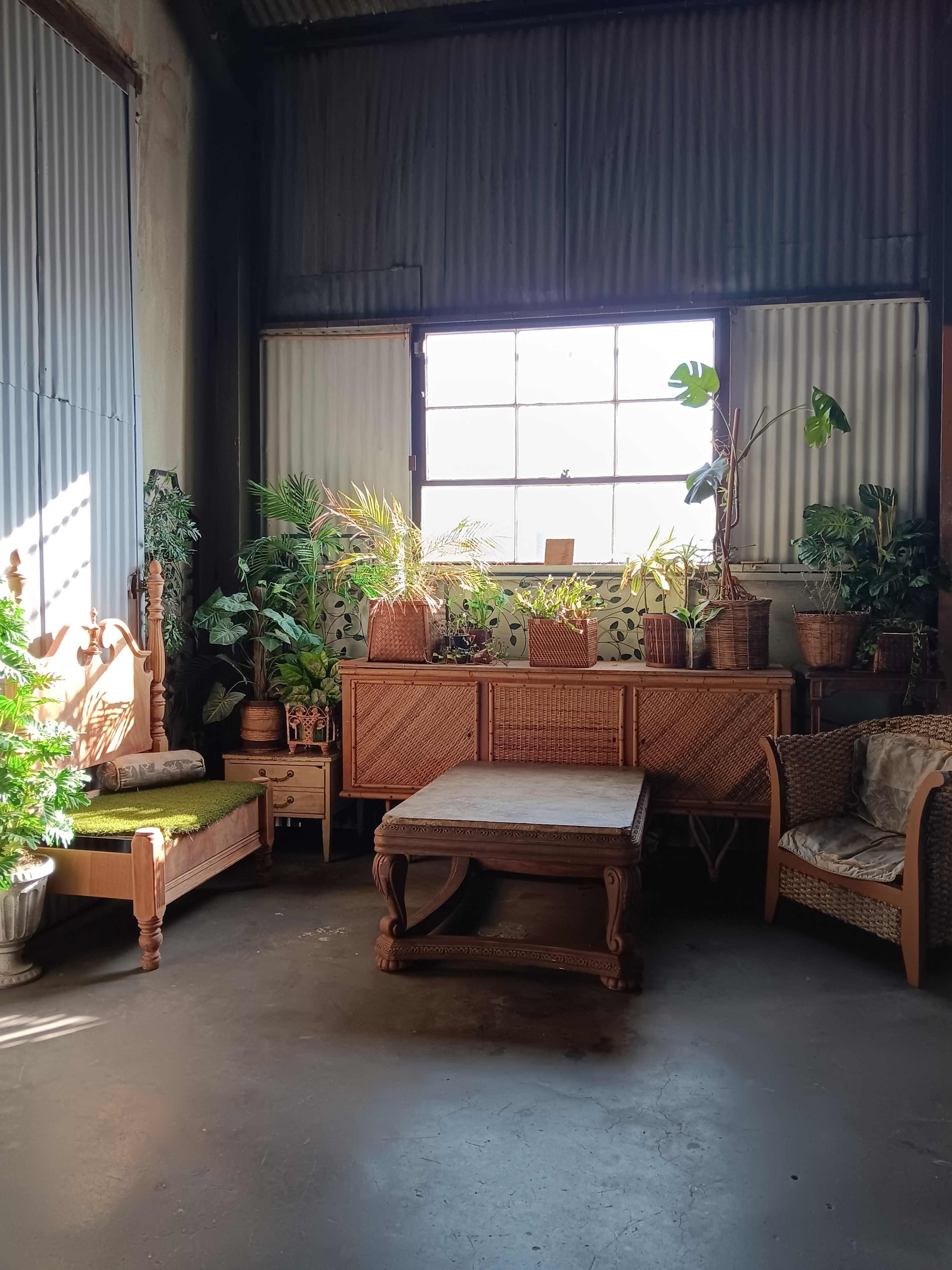 The image shows a sunlit room with various wicker furniture pieces and potted plants arranged against a wall with a large window.