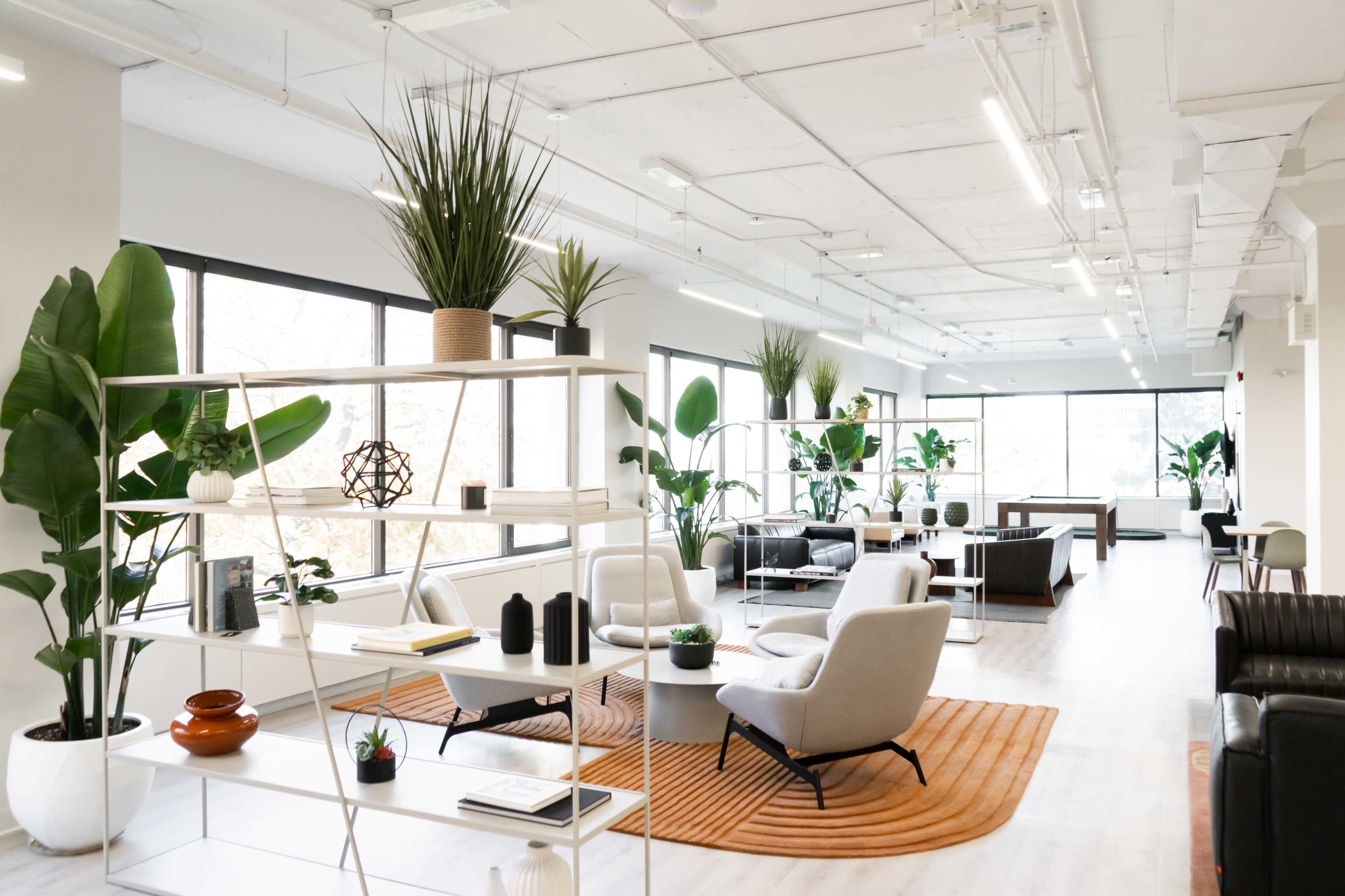 The image shows a modern office space featuring comfortable seating, decorative plants, and large windows with natural light.