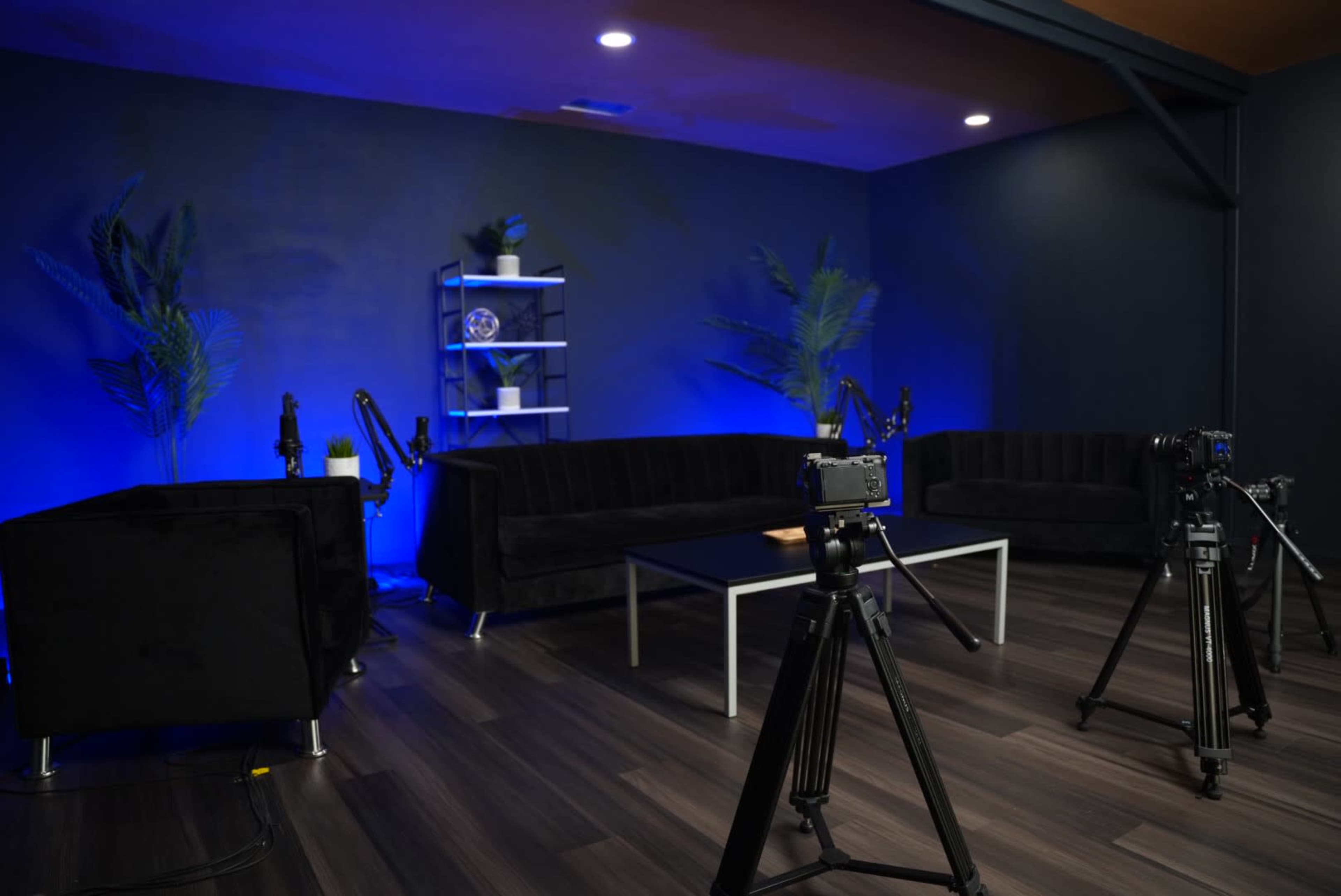 A modern studio setup features two black sofas, a white coffee table, and three tripods with cameras, all against a blue-lit backdrop with plants and a shelf.