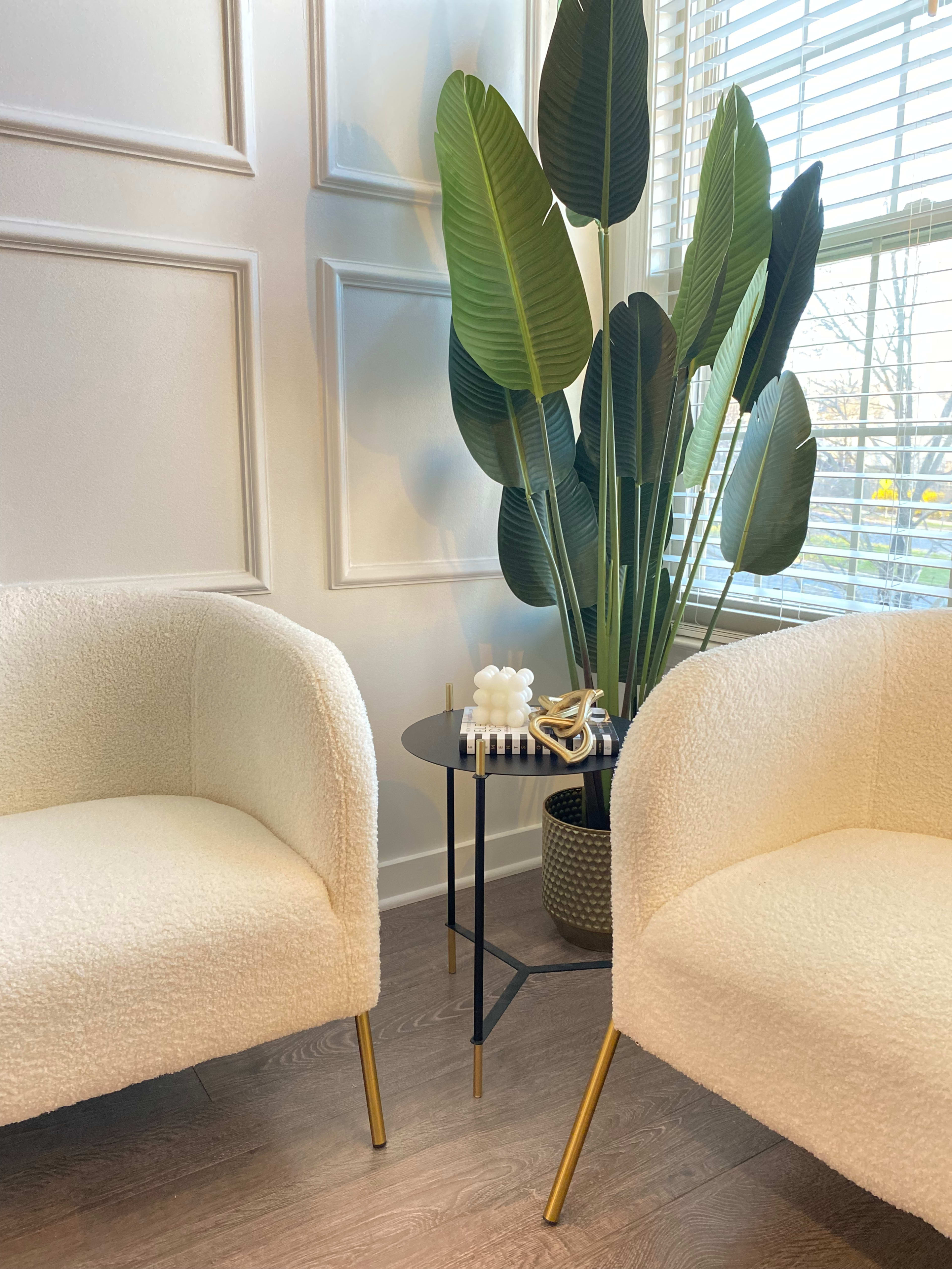 Two white upholstered chairs are positioned beside a small black side table featuring decorative items and a large green plant, with sunlight streaming in through a nearby window.