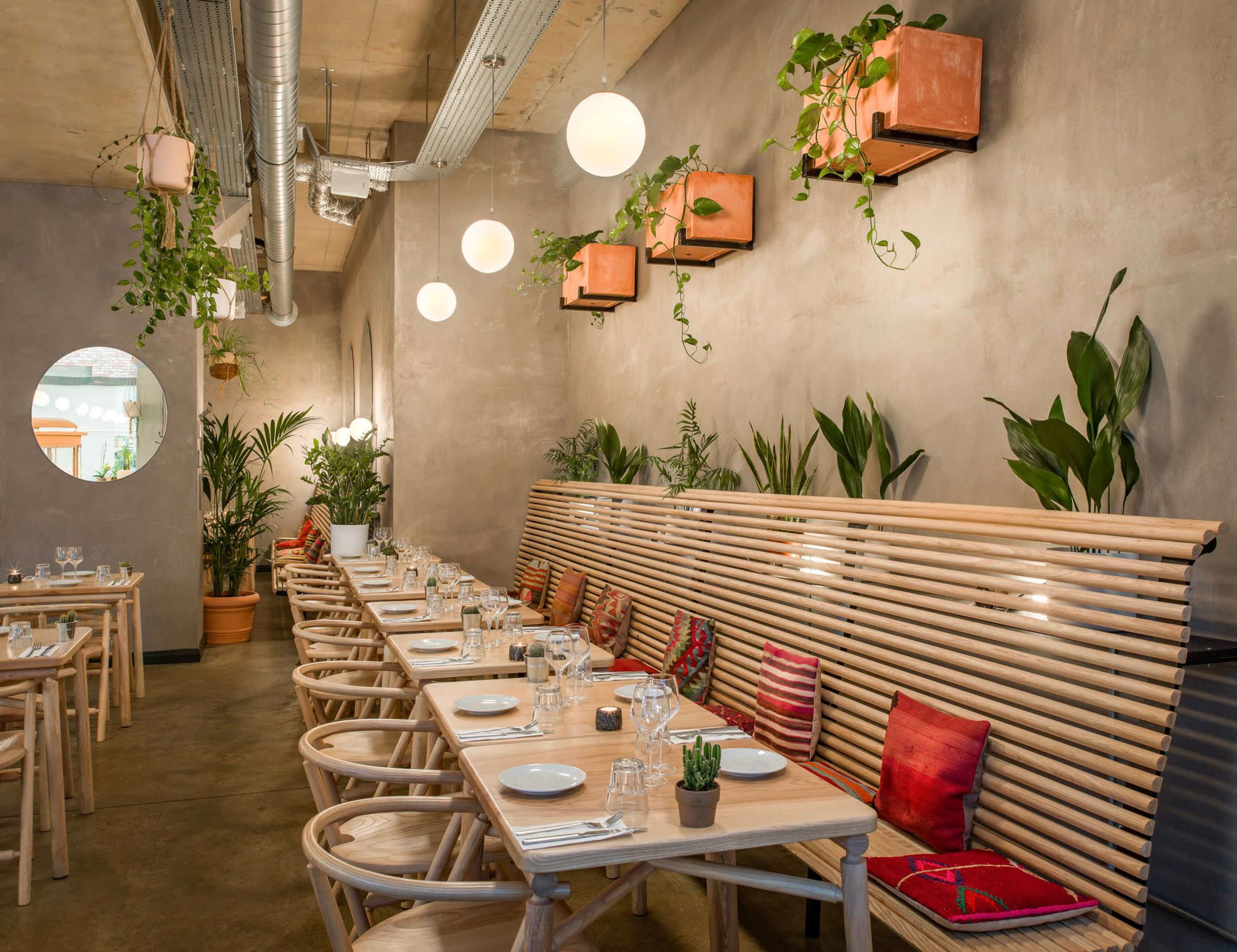 The image shows a modern restaurant interior with wooden seating, minimalistic decor, and potted plants hanging from the ceiling.