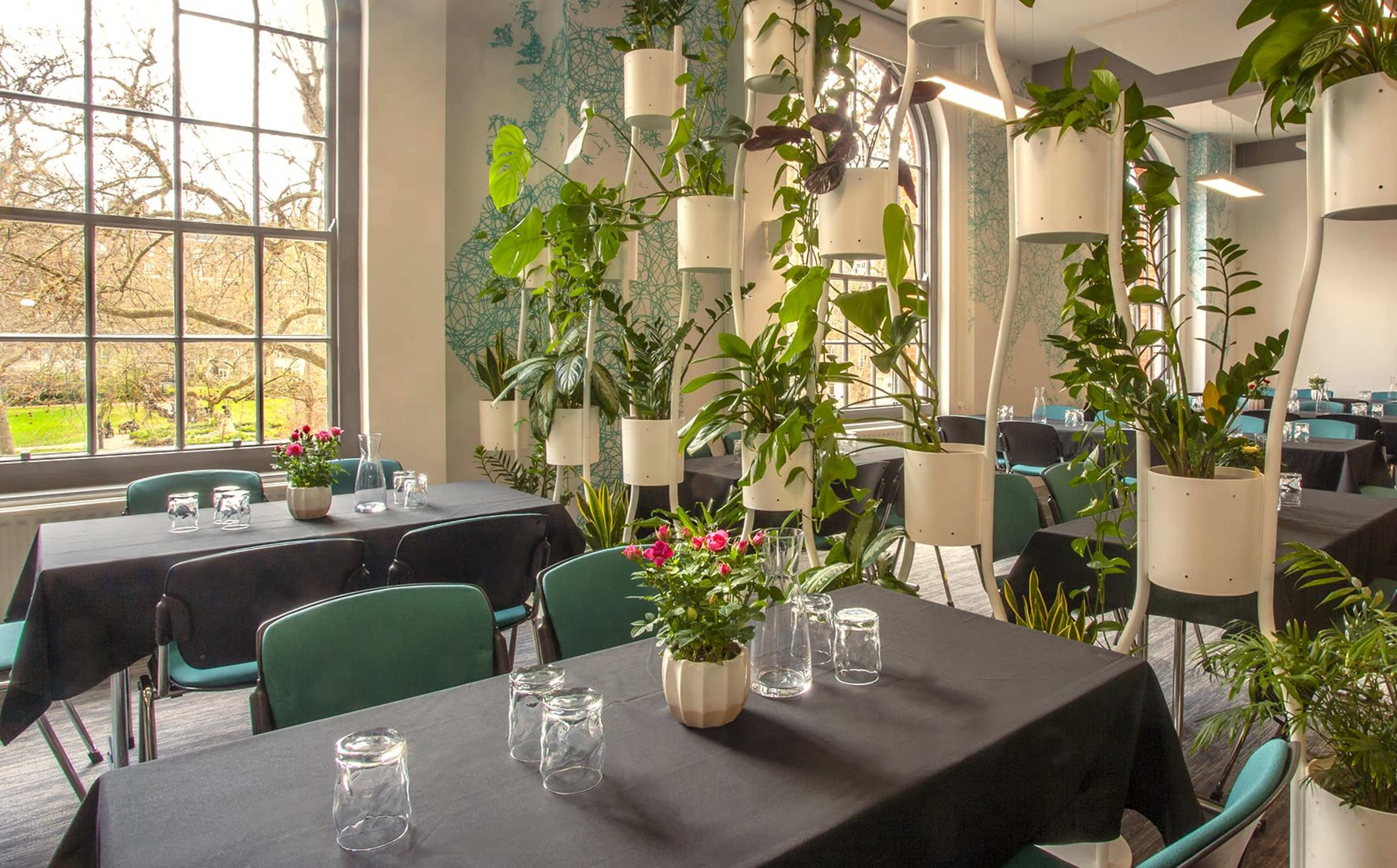 A restaurant interior featuring tables with black tablecloths, surrounded by hanging plants and large windows that provide natural light.
