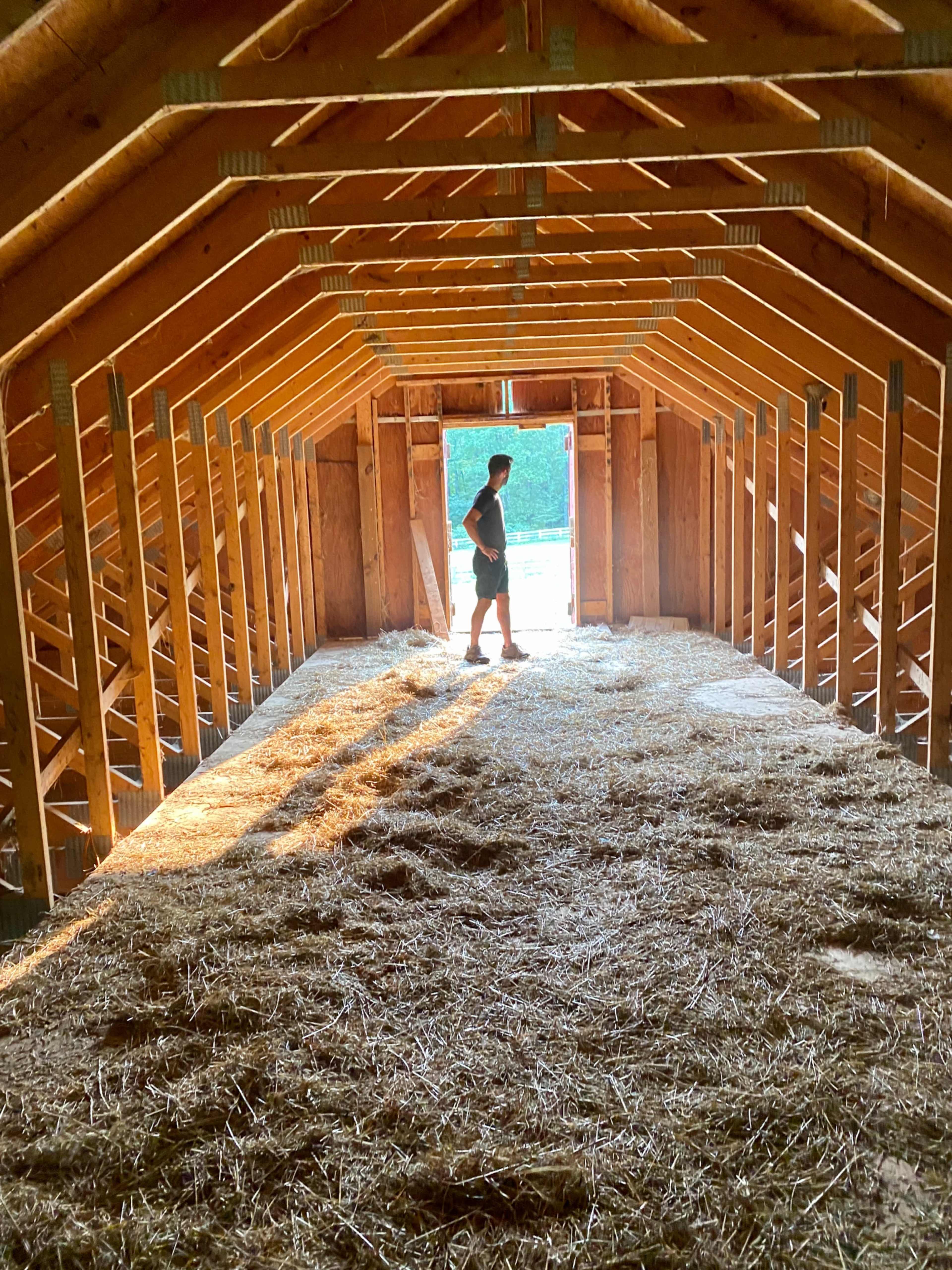 A person stands in the doorway of a wooden barn, with sunlight filtering in and illuminating the straw-covered floor.