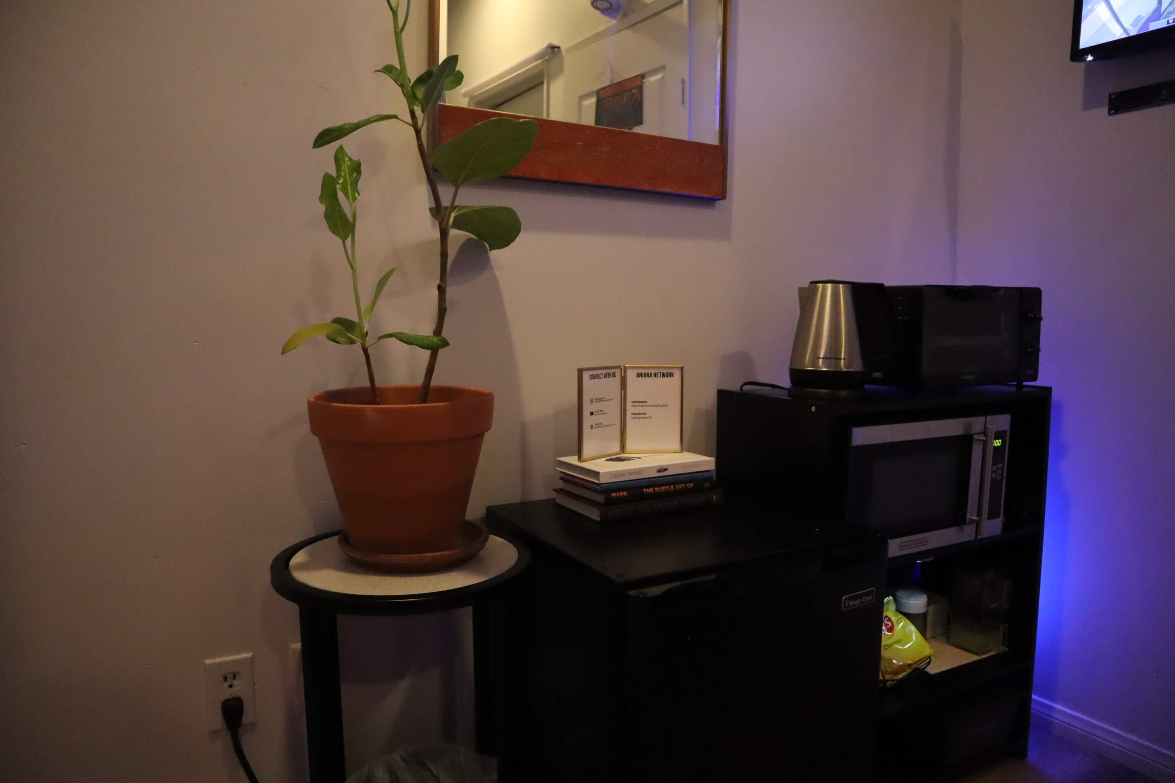 A potted plant sits on a small circular table next to a microwave and a kettle on a shelf with some books and a small refrigerator below.