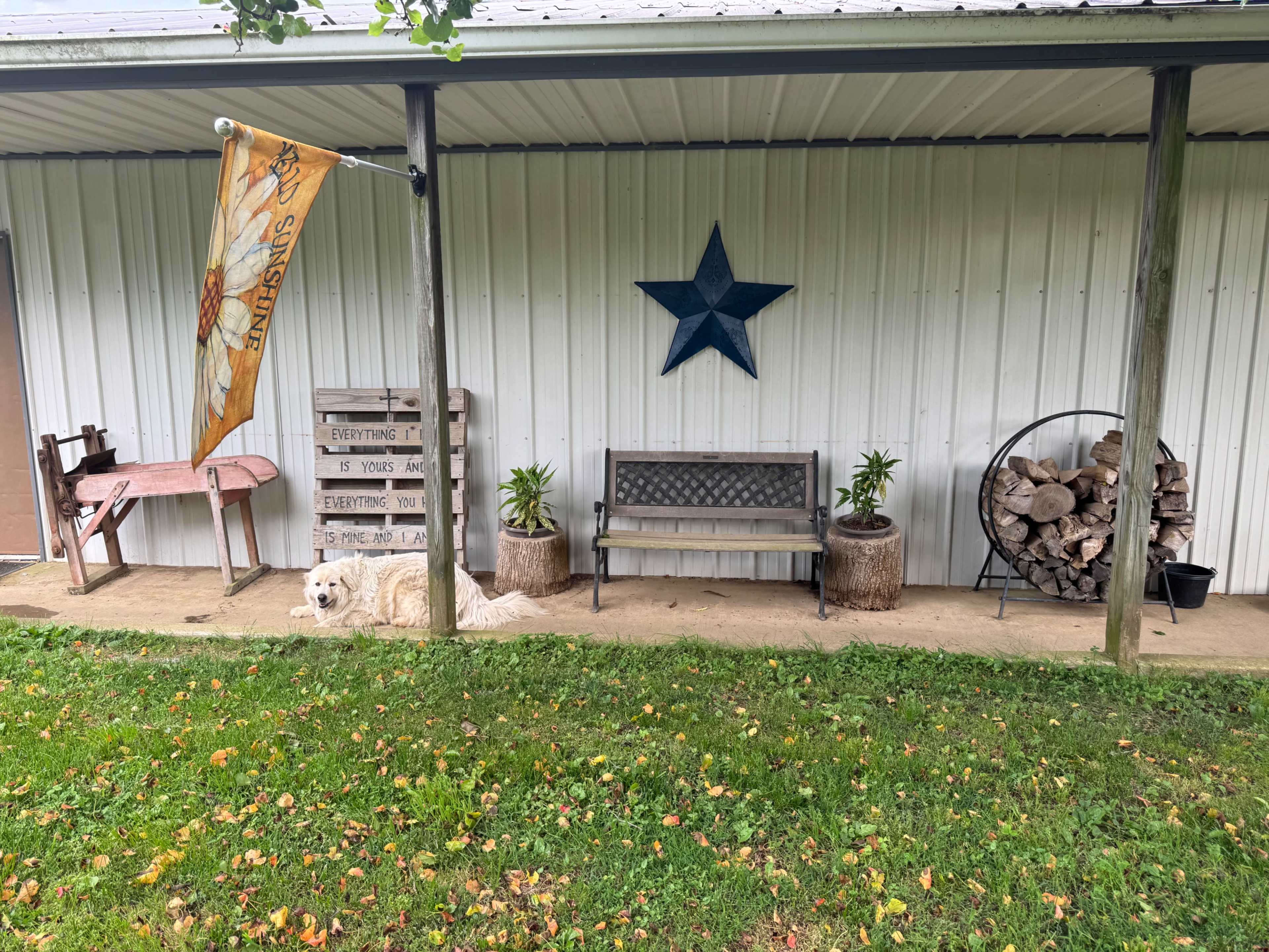 Country farm charm with a variety of friendly animals Image in Walnut Grove, Cottontown, TN