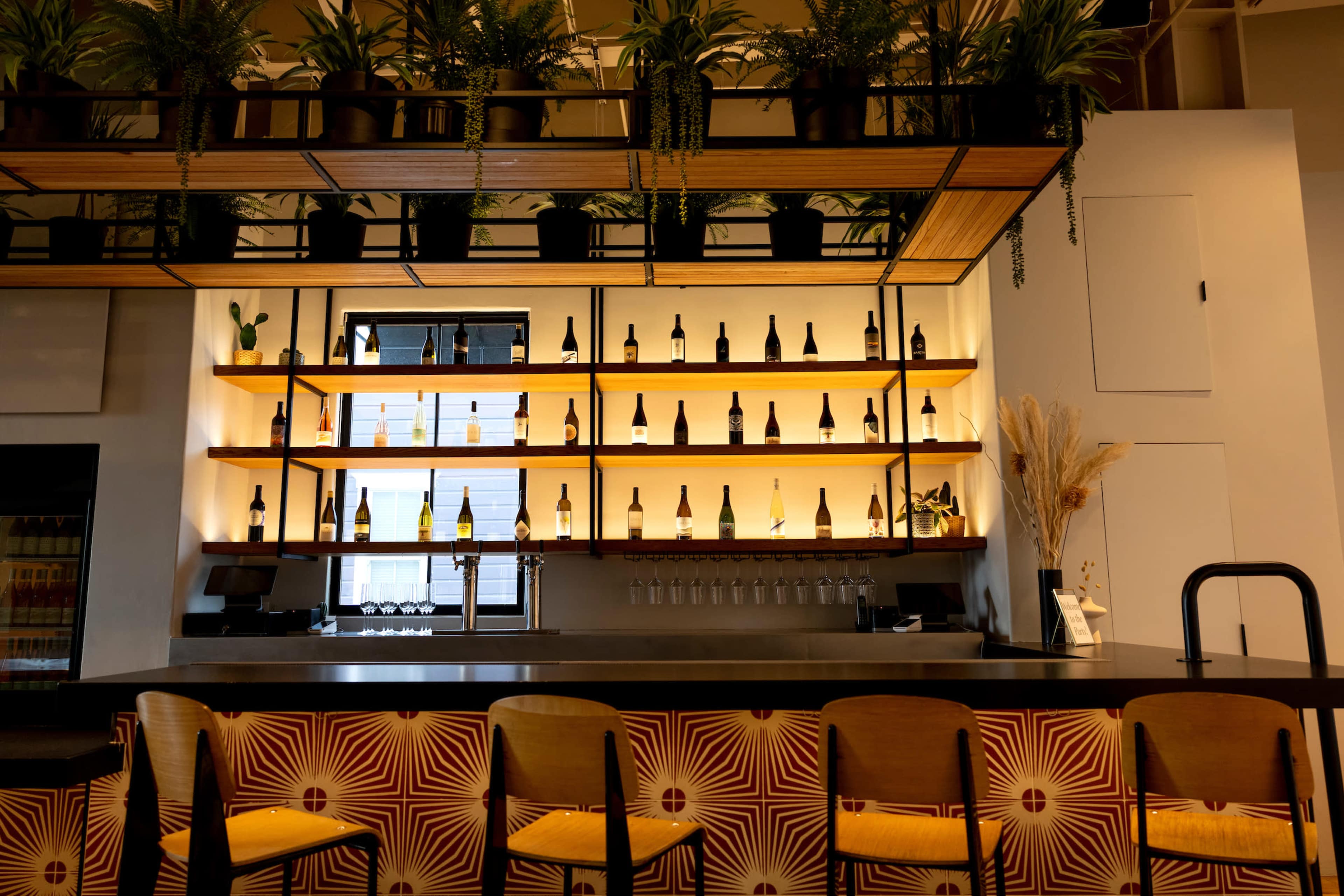 A bar with shelves displaying numerous bottles, surrounded by indoor plants and chairs in front.