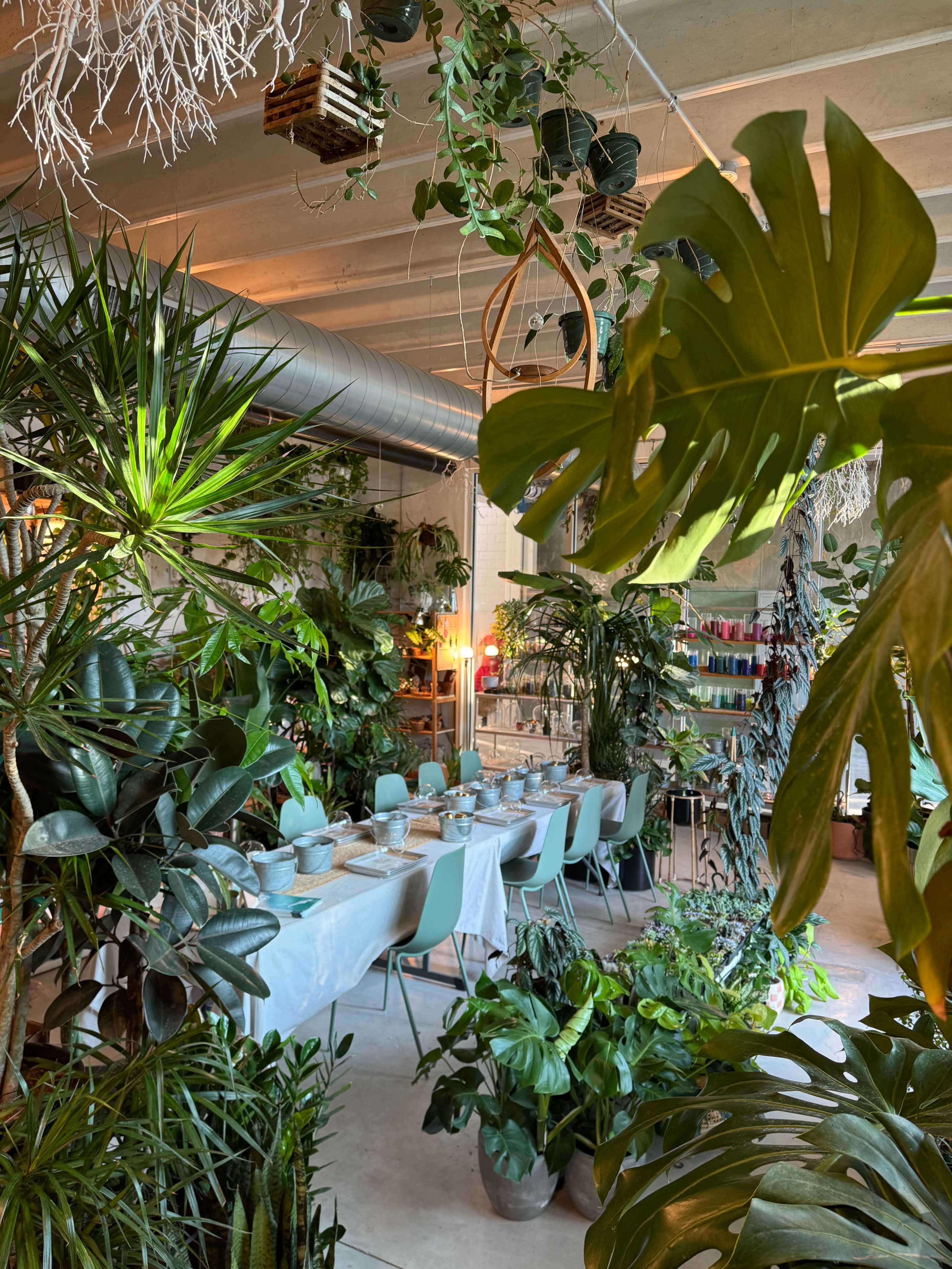 Bright East Austin Plant Studio Image in Govalle, Austin, TX