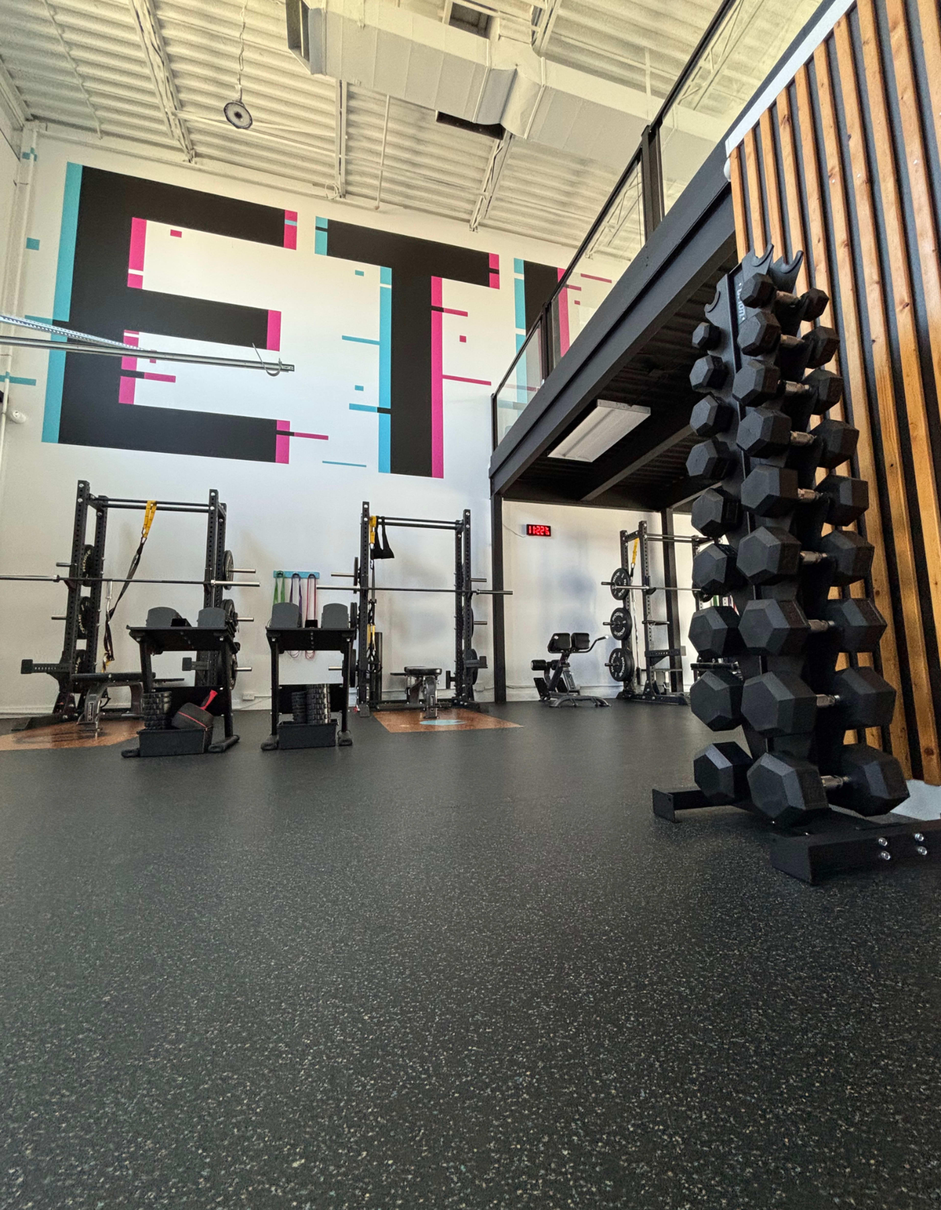 The image shows a modern gym interior featuring weightlifting equipment, a black dumbbell rack, and colorful wall art.
