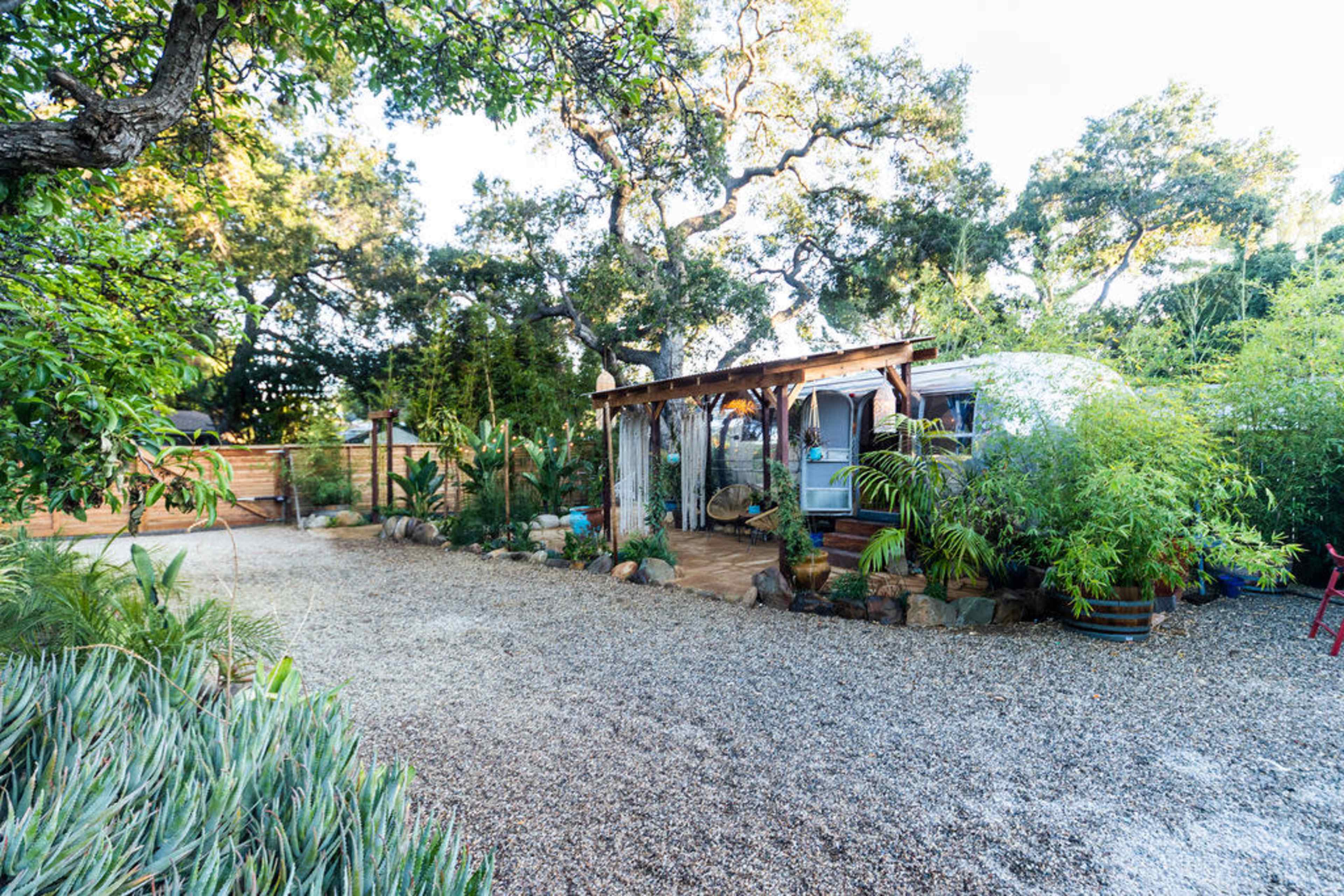 A gravel pathway leads to a small wooden structure surrounded by lush greenery and trees.