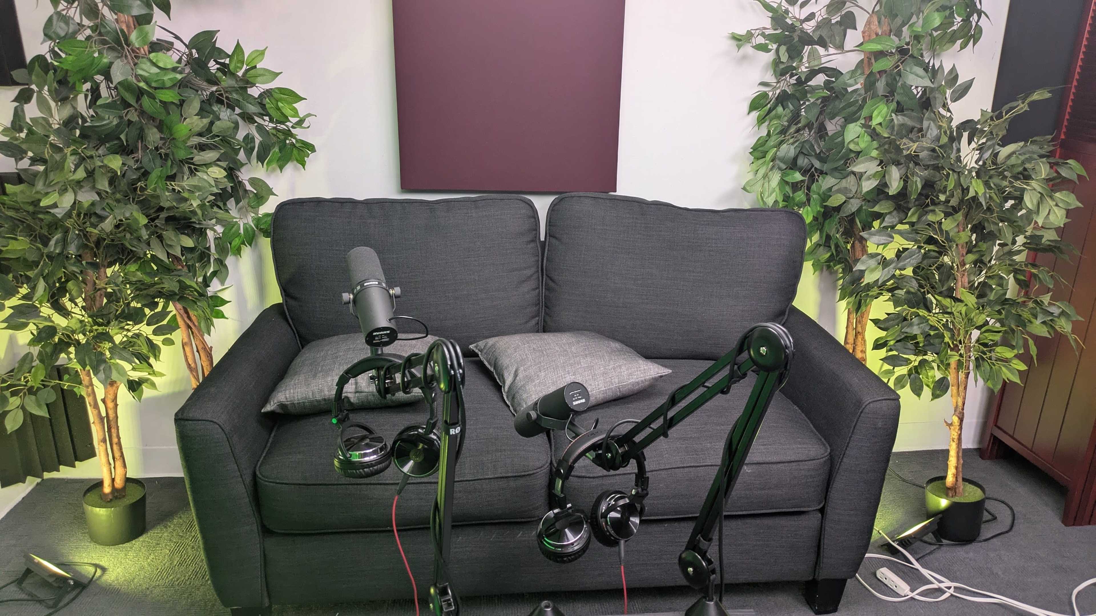 The image shows a gray sofa positioned between two artificial plants, with microphones on stands set up in front of it.