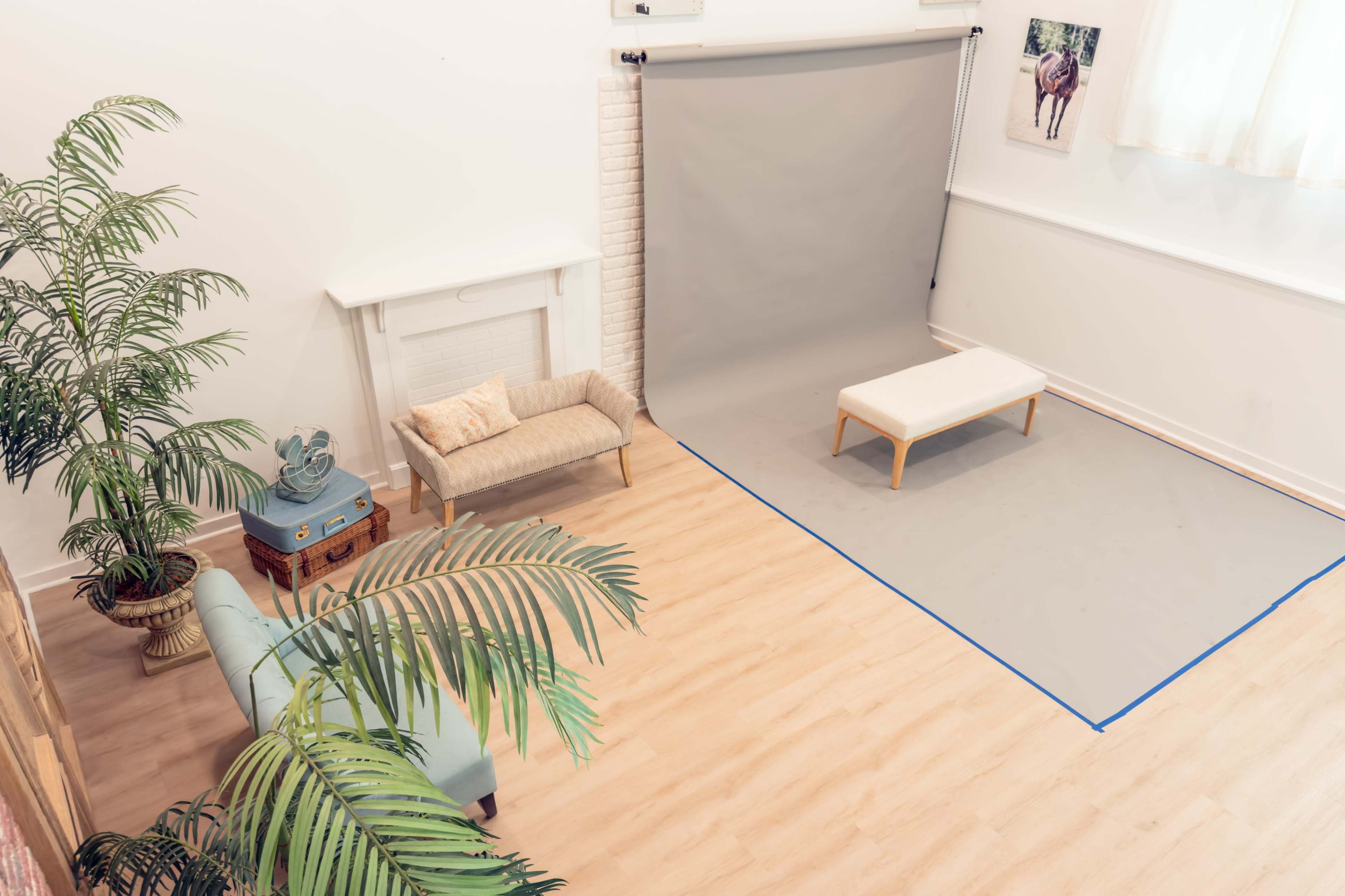 The image shows a spacious studio with a gray backdrop, a white bench, two couches, and a decorative plant in the corner.