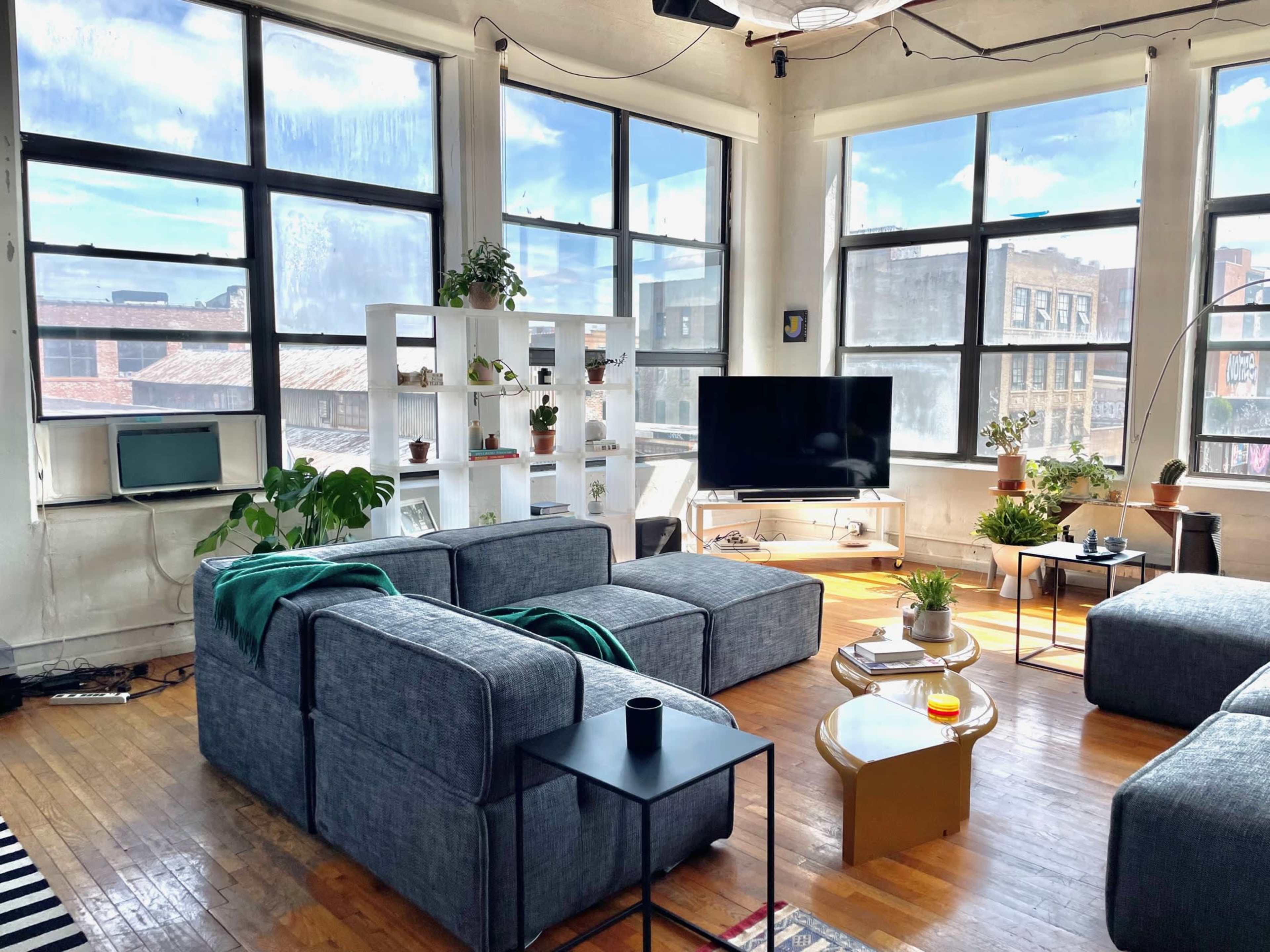 The image shows a bright, spacious living room with large windows, a gray sectional sofa, a television, and various plants on display.