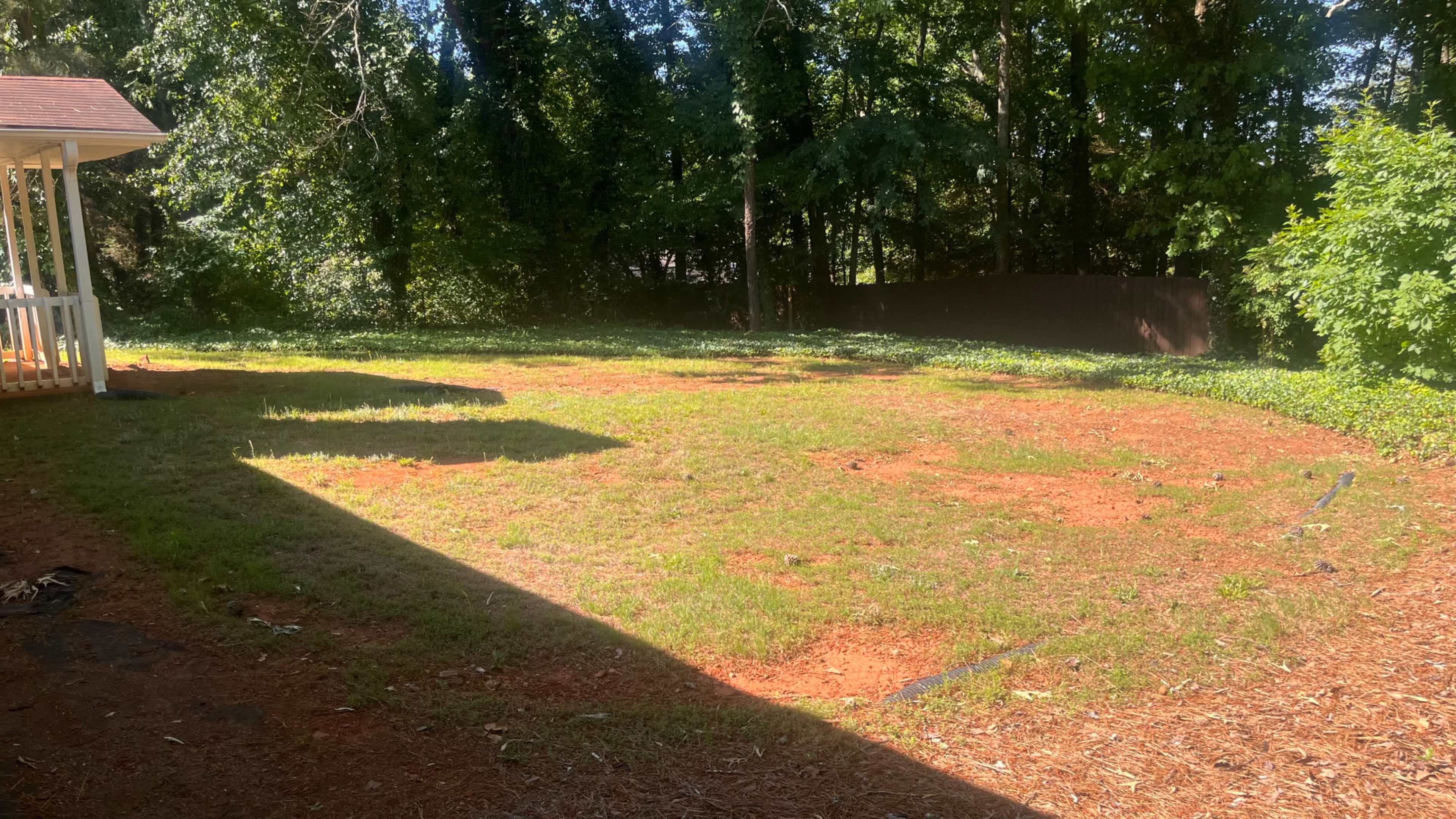 The image shows a grassy area in a backyard with a shadow cast from a nearby structure, surrounded by trees and a wooden fence in the background.
