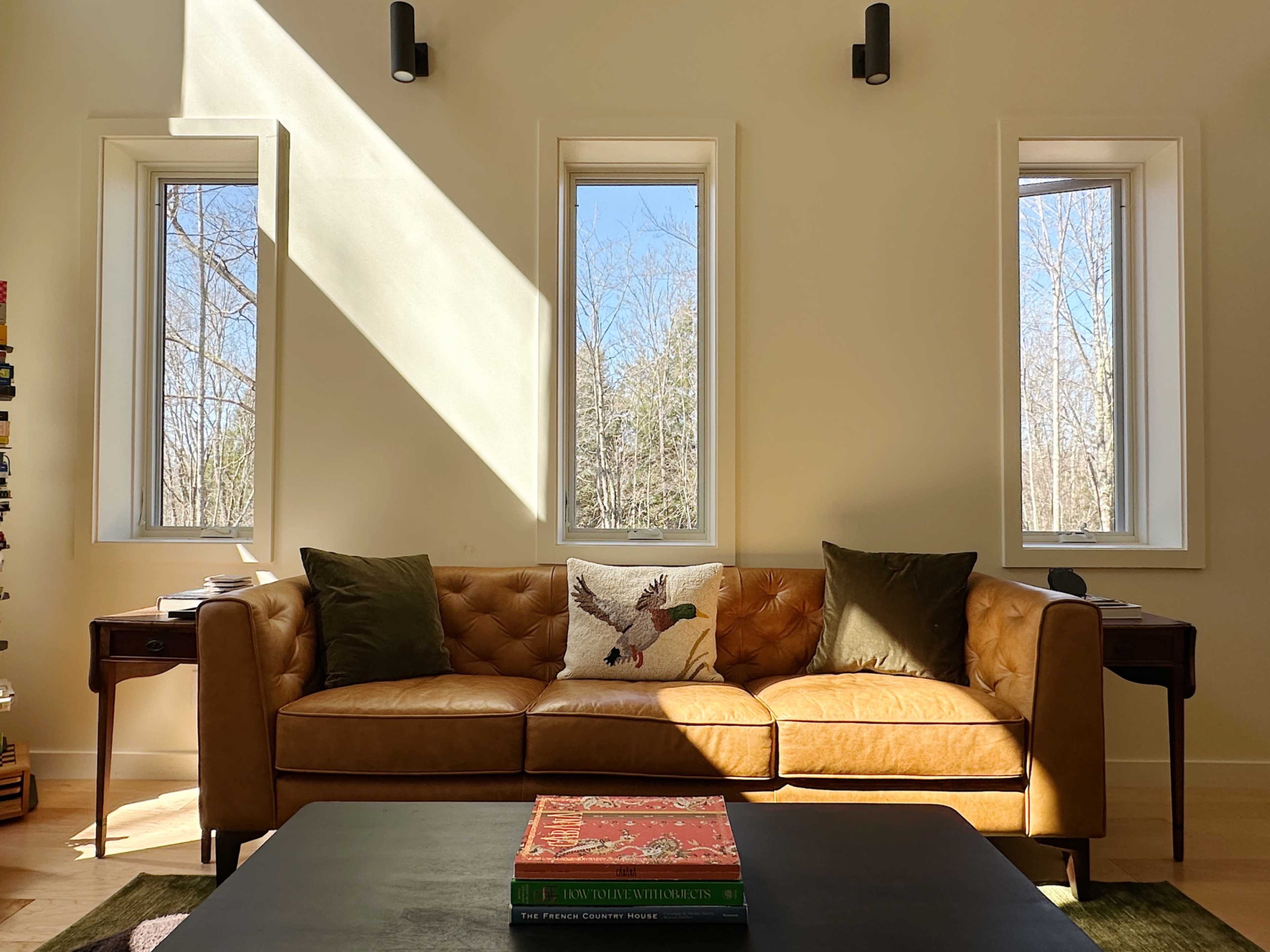 The image shows a stylish living room with a brown leather sofa, flanked by two windows that allow natural light to enter, and a coffee table with a stack of books on it.
