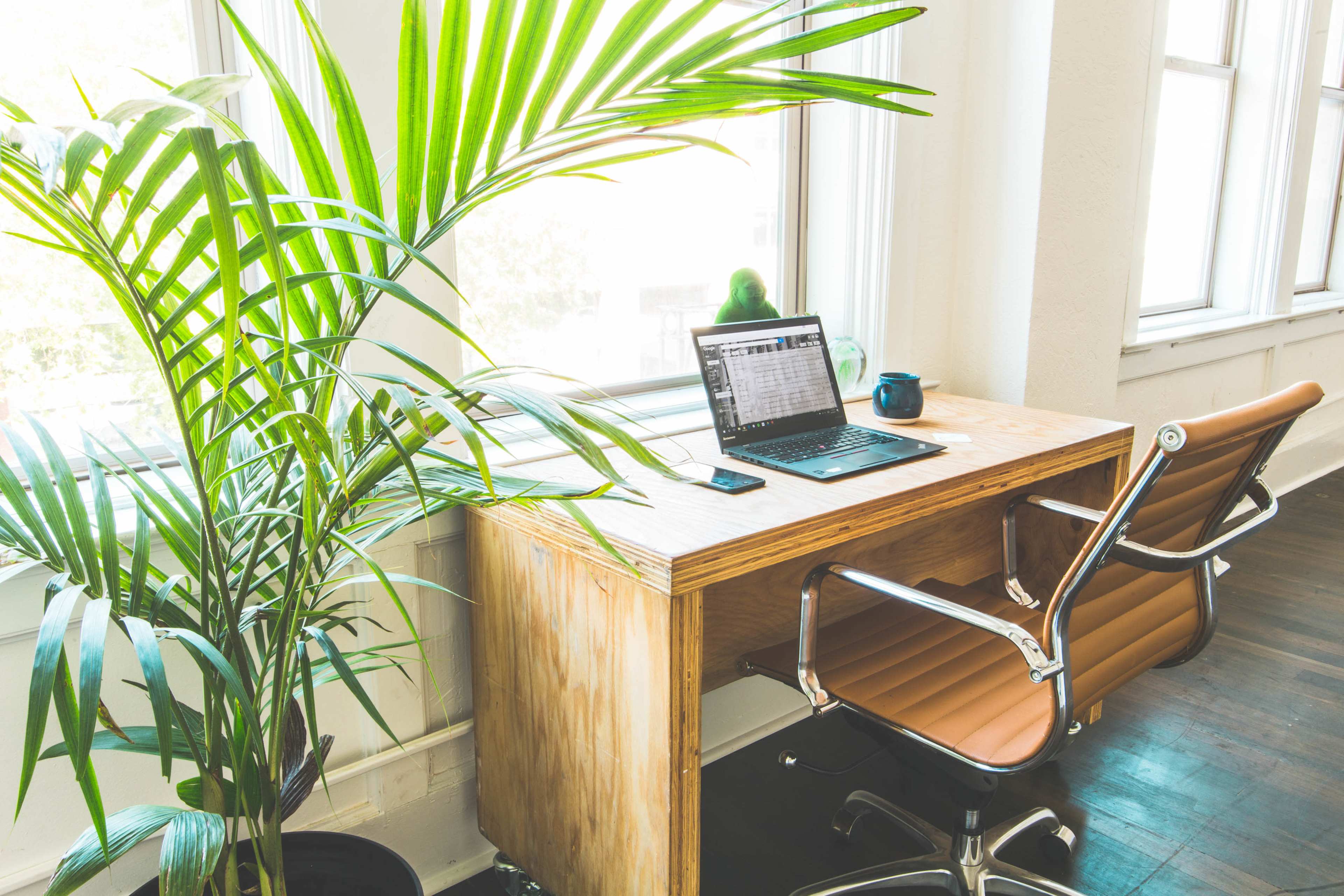 A desk with a laptop and a smartphone sits beside a large green plant near a window, offering natural light.