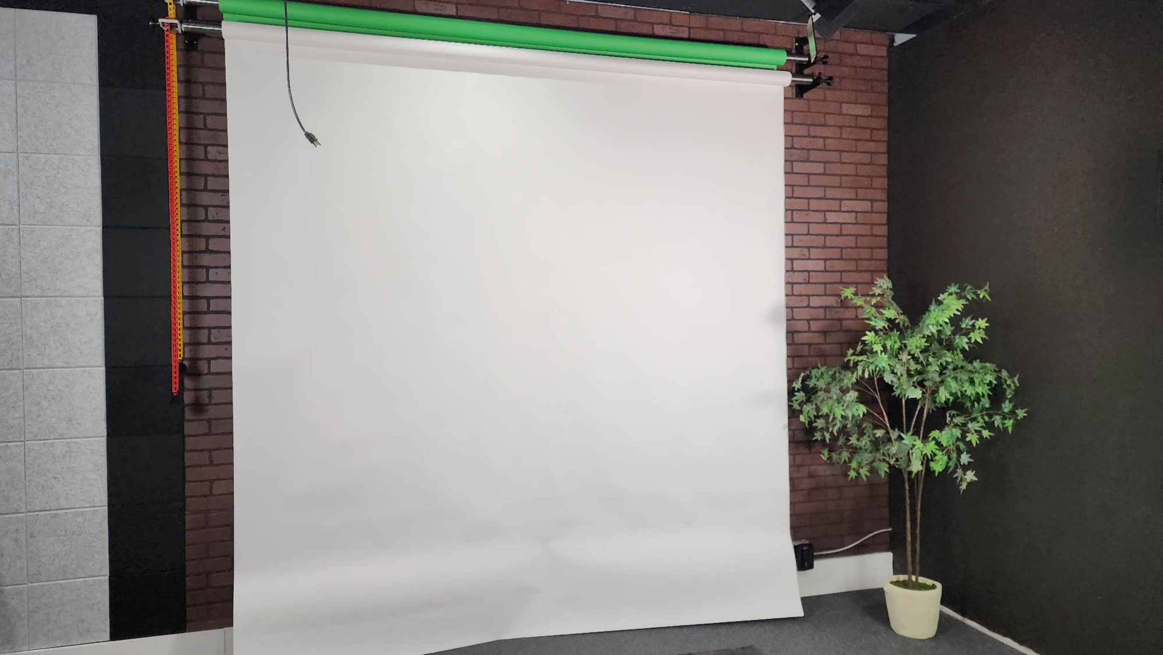 A photography studio setup featuring a white backdrop, a green curtain, and a potted plant in the corner.