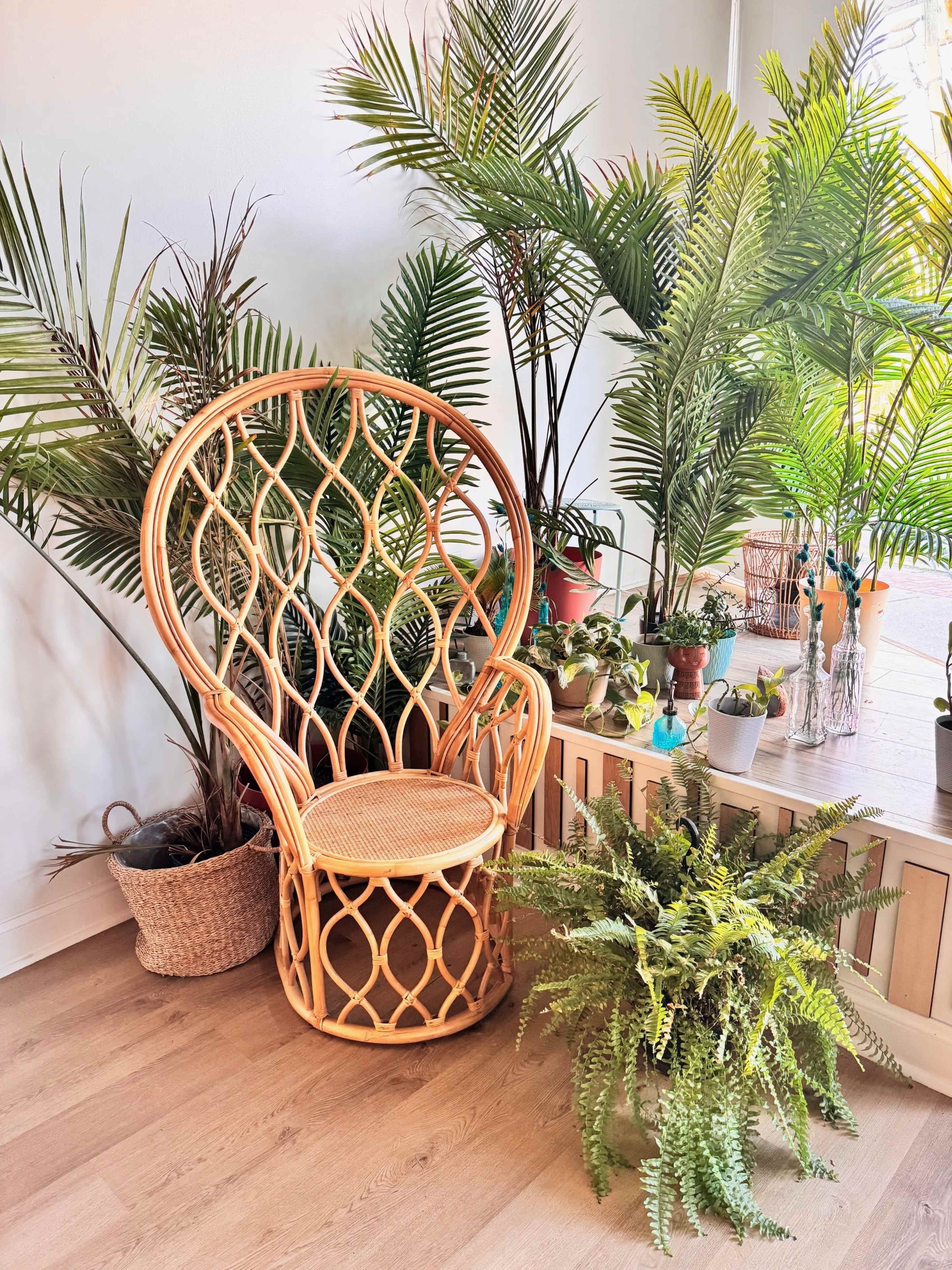 A rattan peacock chair is positioned beside various potted plants in a bright, airy room.