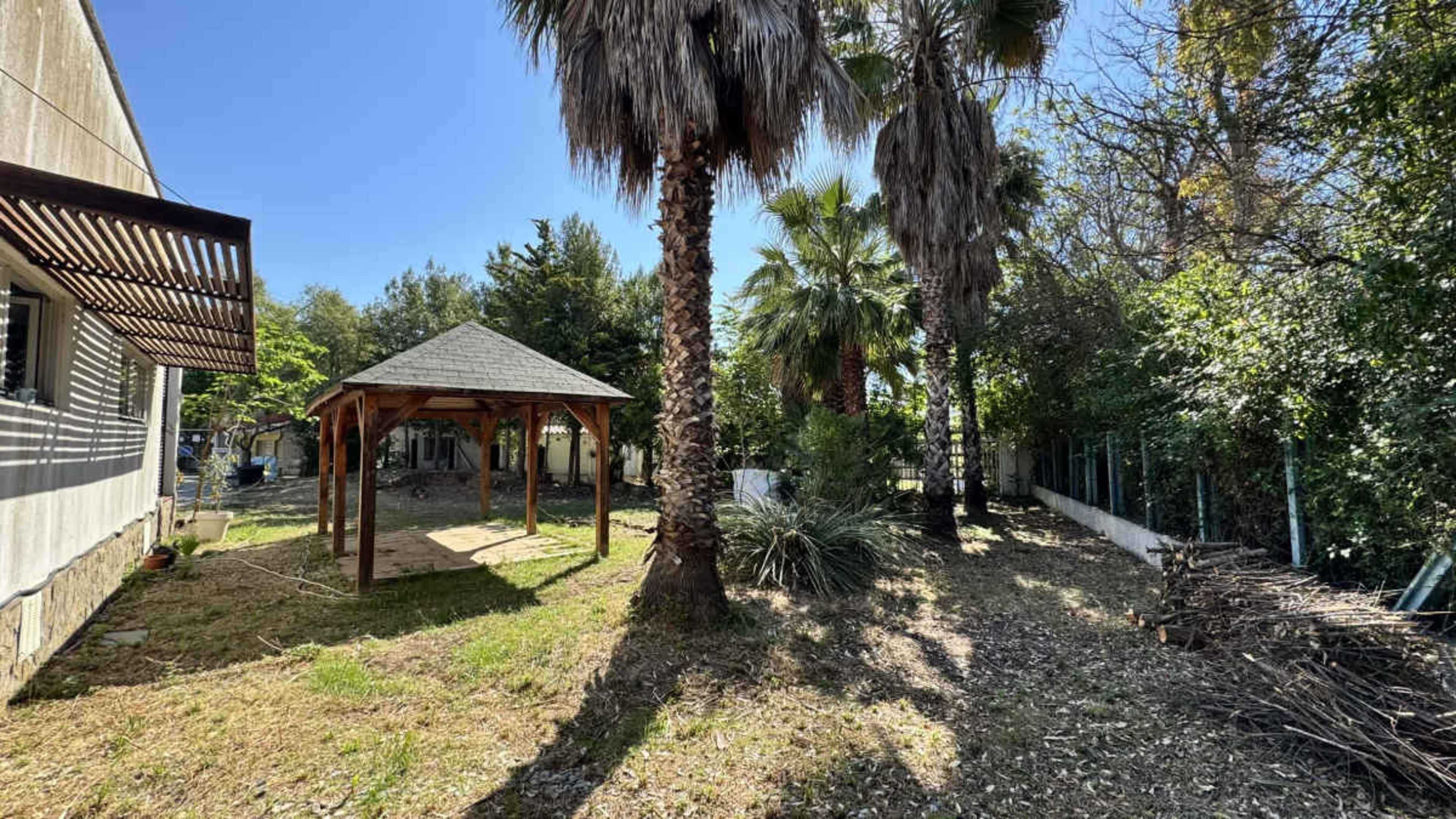 The image shows a backyard featuring a gazebo, several palm trees, and a patch of grass surrounded by dense greenery.
