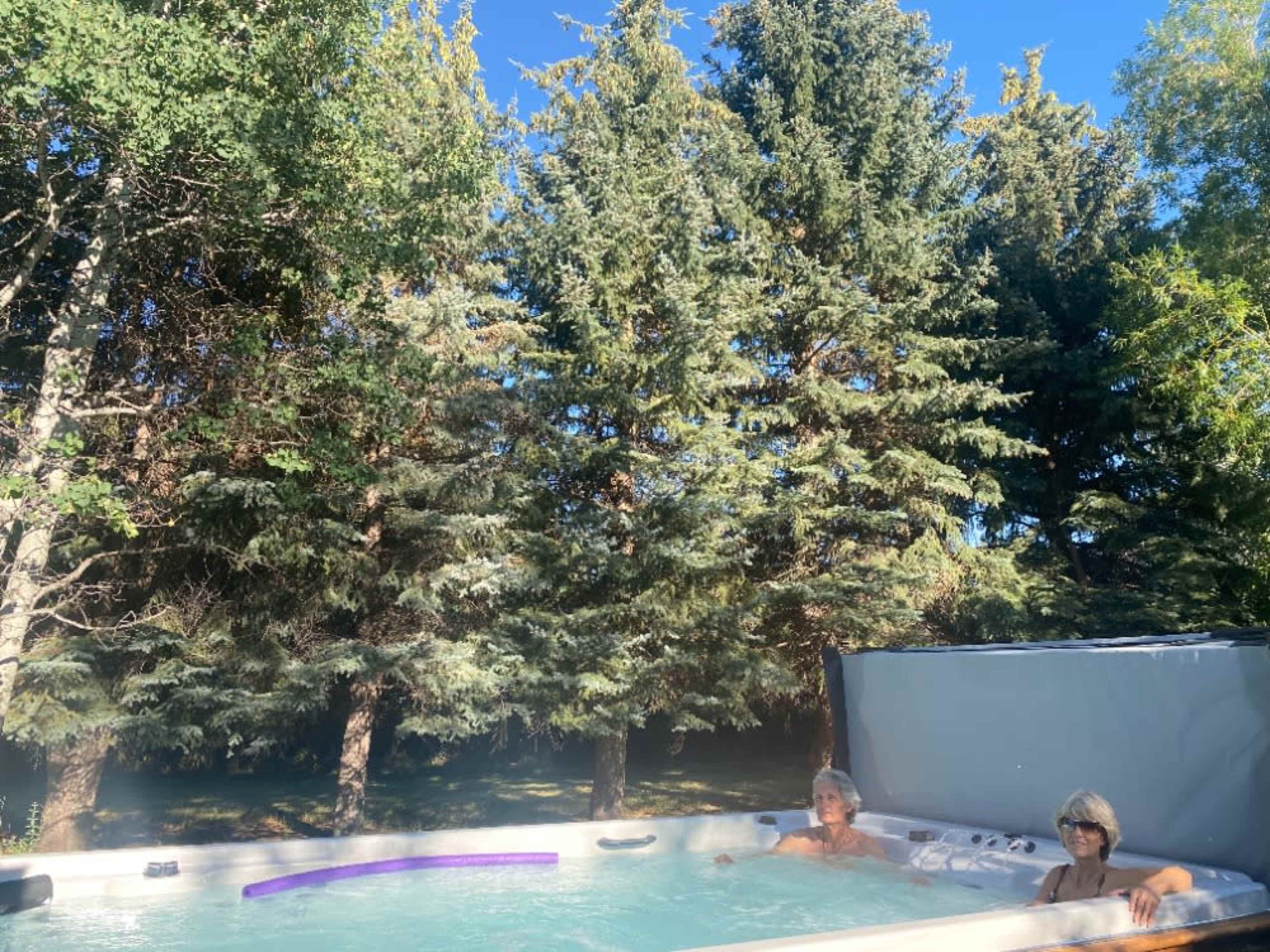 12 person salt water spa