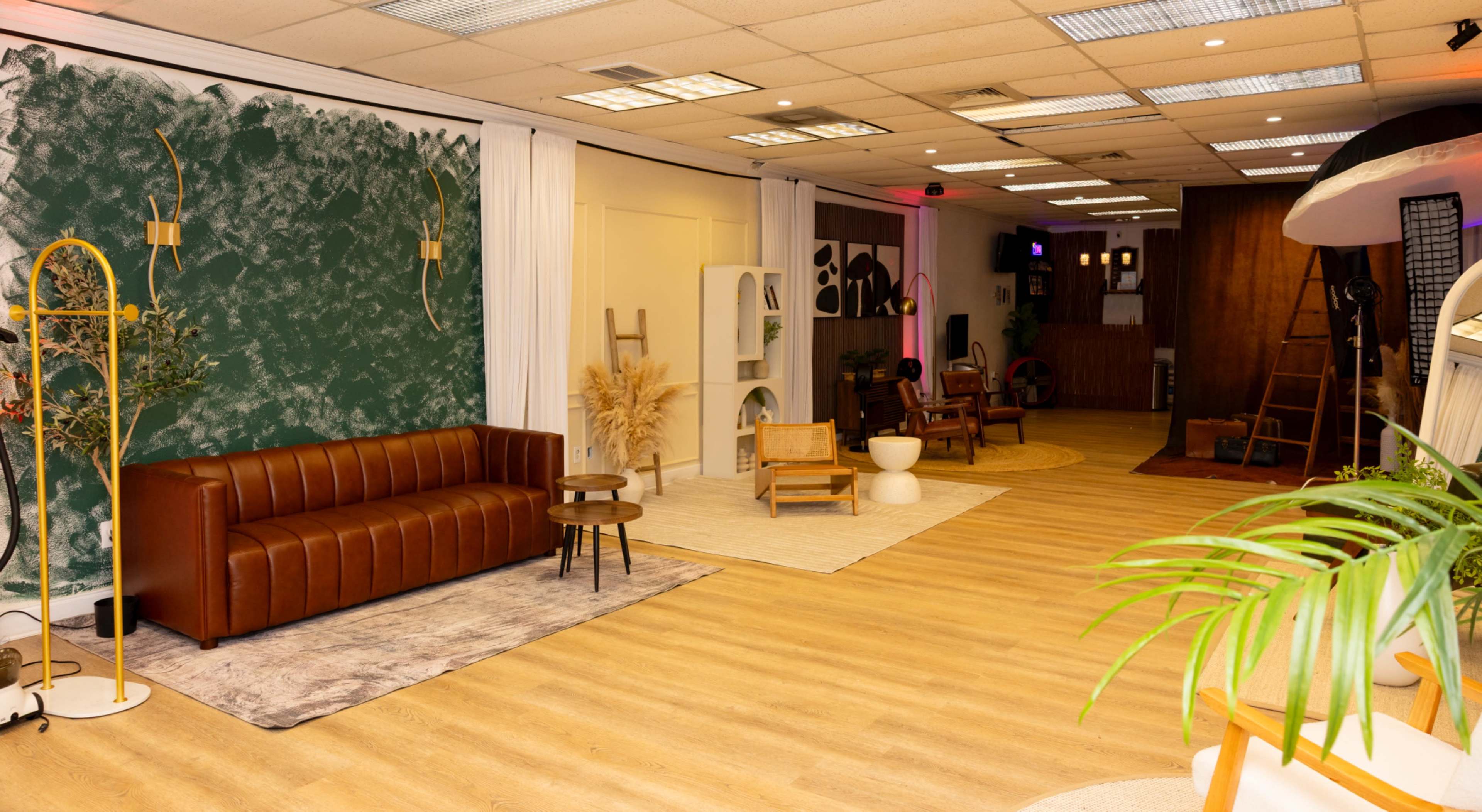 The image shows a spacious interior with a green textured wall, a brown leather sofa, various plants, and a mix of decor items on a wooden floor.