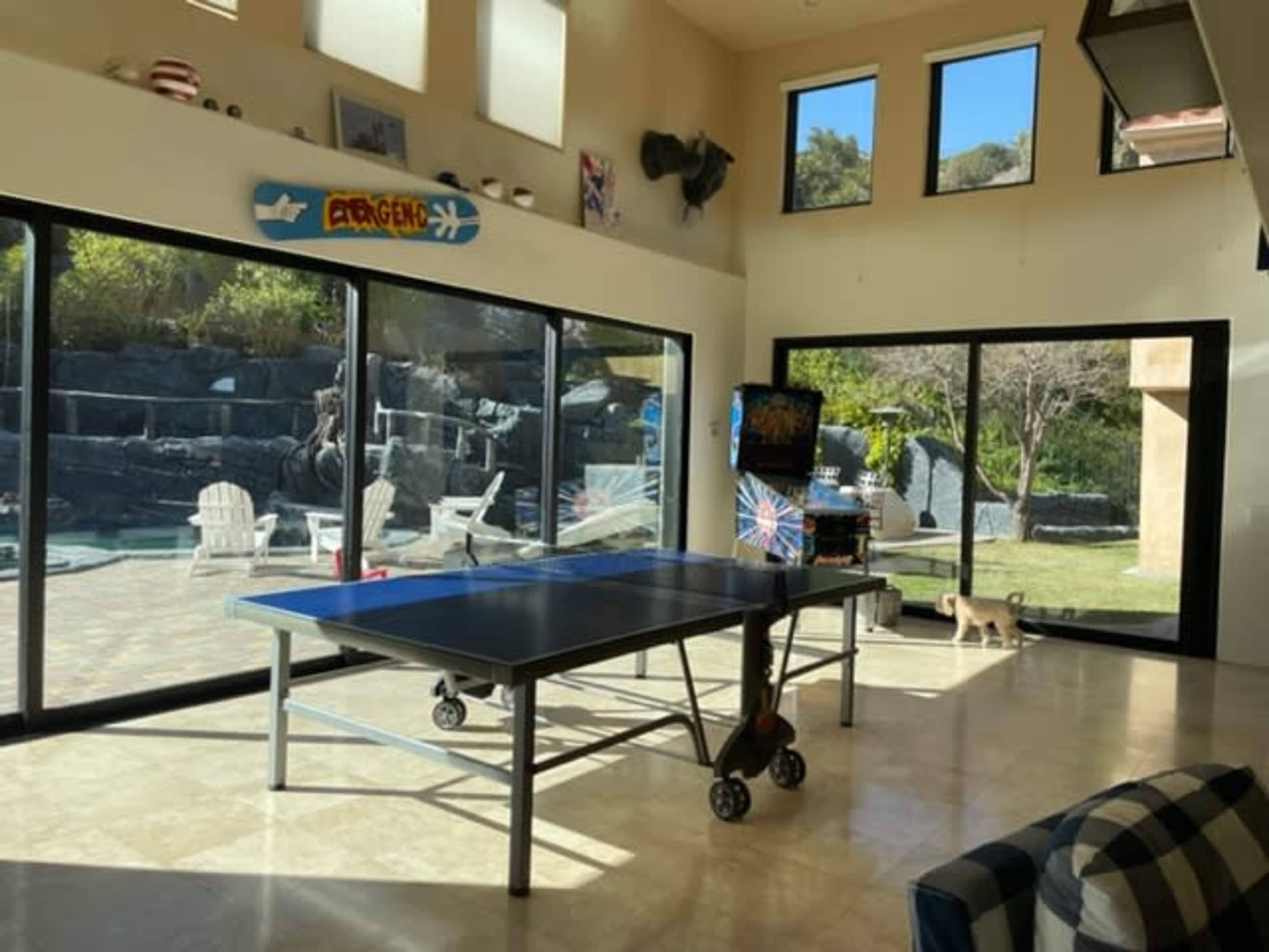 A spacious room features a ping pong table, large windows overlooking a garden, and a small dog near the entrance.