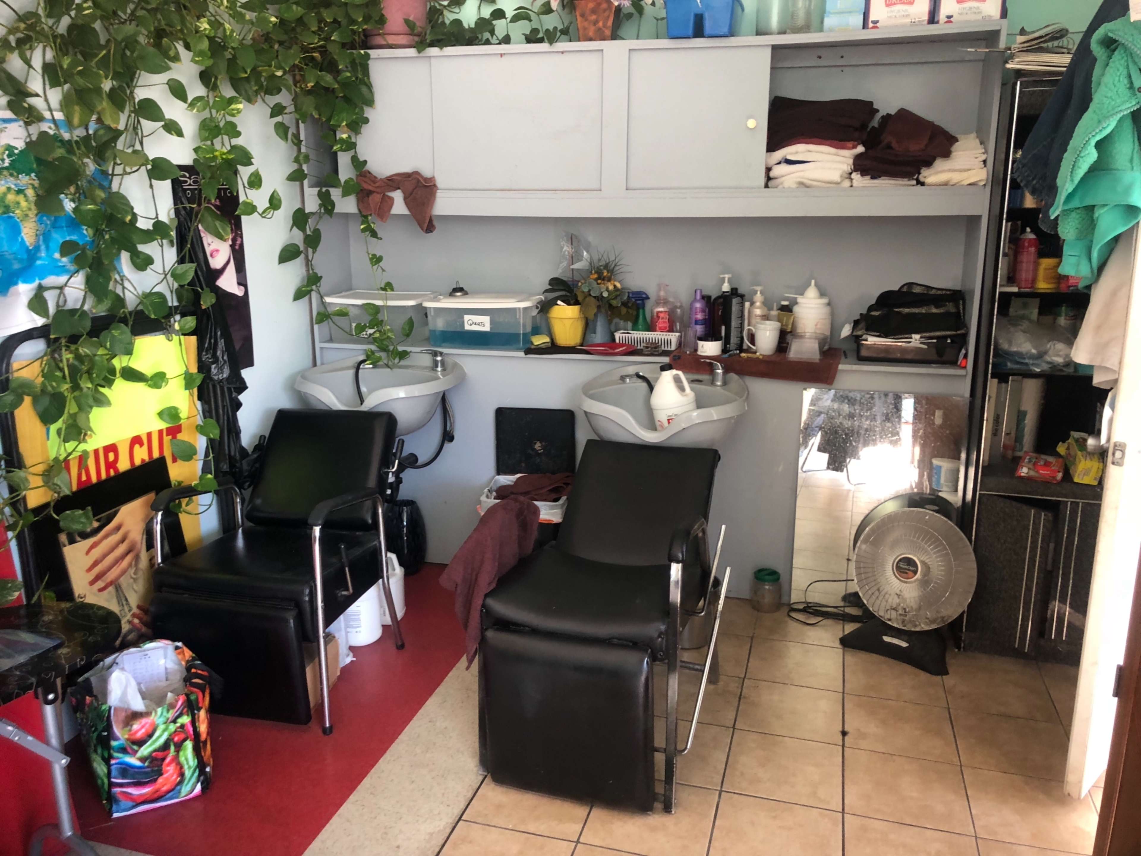 A small hair salon with two black salon chairs, hair washing stations, shelves filled with supplies, and potted plants against the wall.