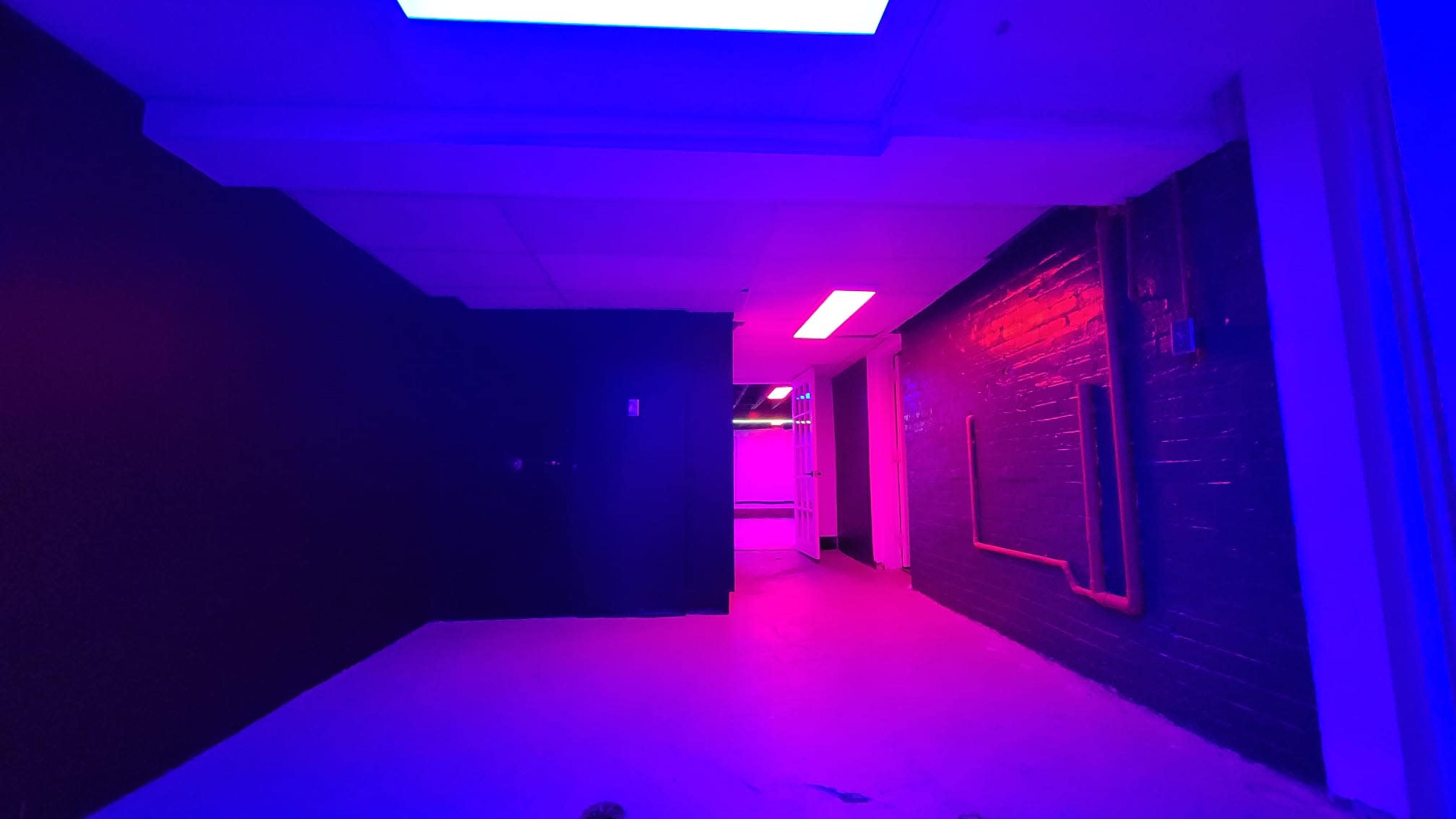 Vibrant Lower-Level Space Image in Regal Heights, Toronto, ON