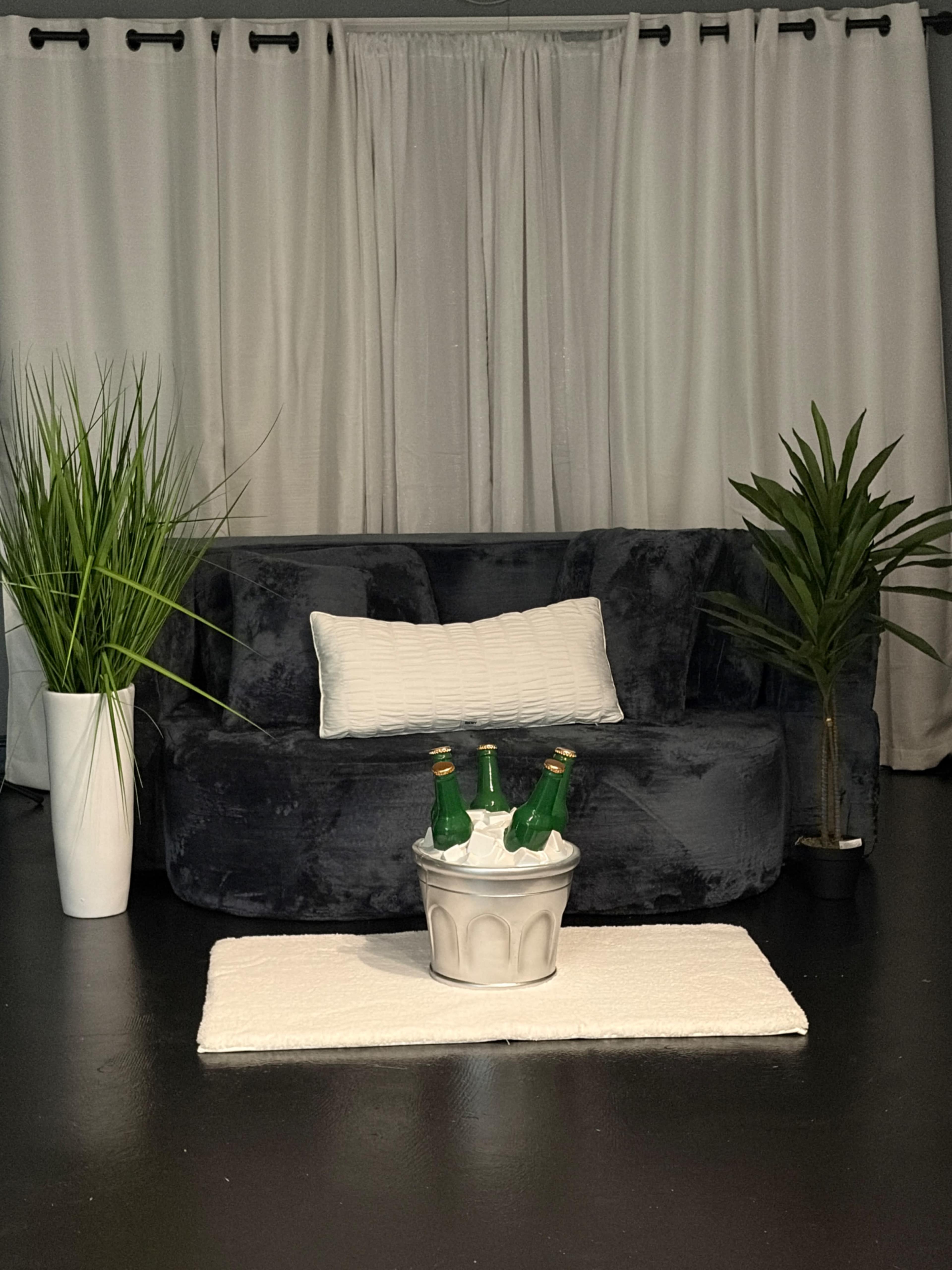 A dark gray couch with a white textured pillow is positioned in front of a white ice bucket holding three green bottles, accompanied by two green plants on either side.