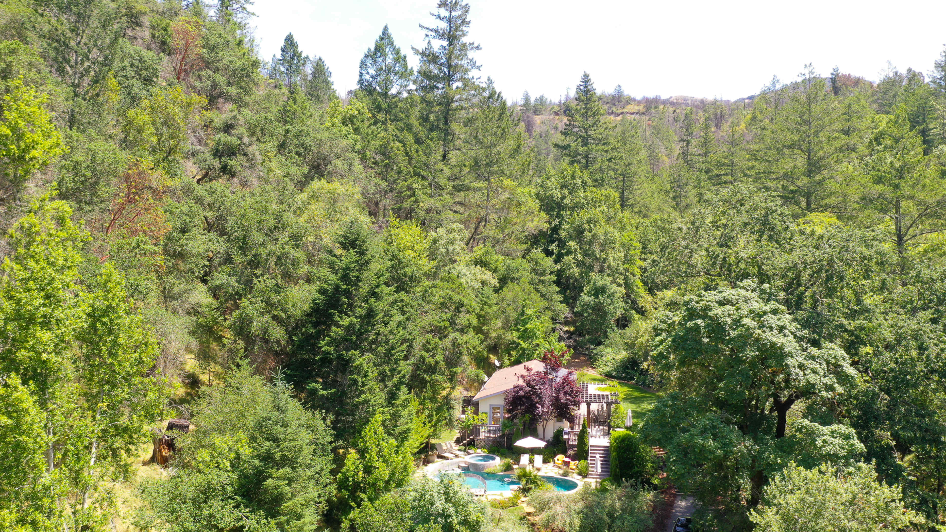 A house with a swimming pool is nestled among dense greenery in a mountainous area.