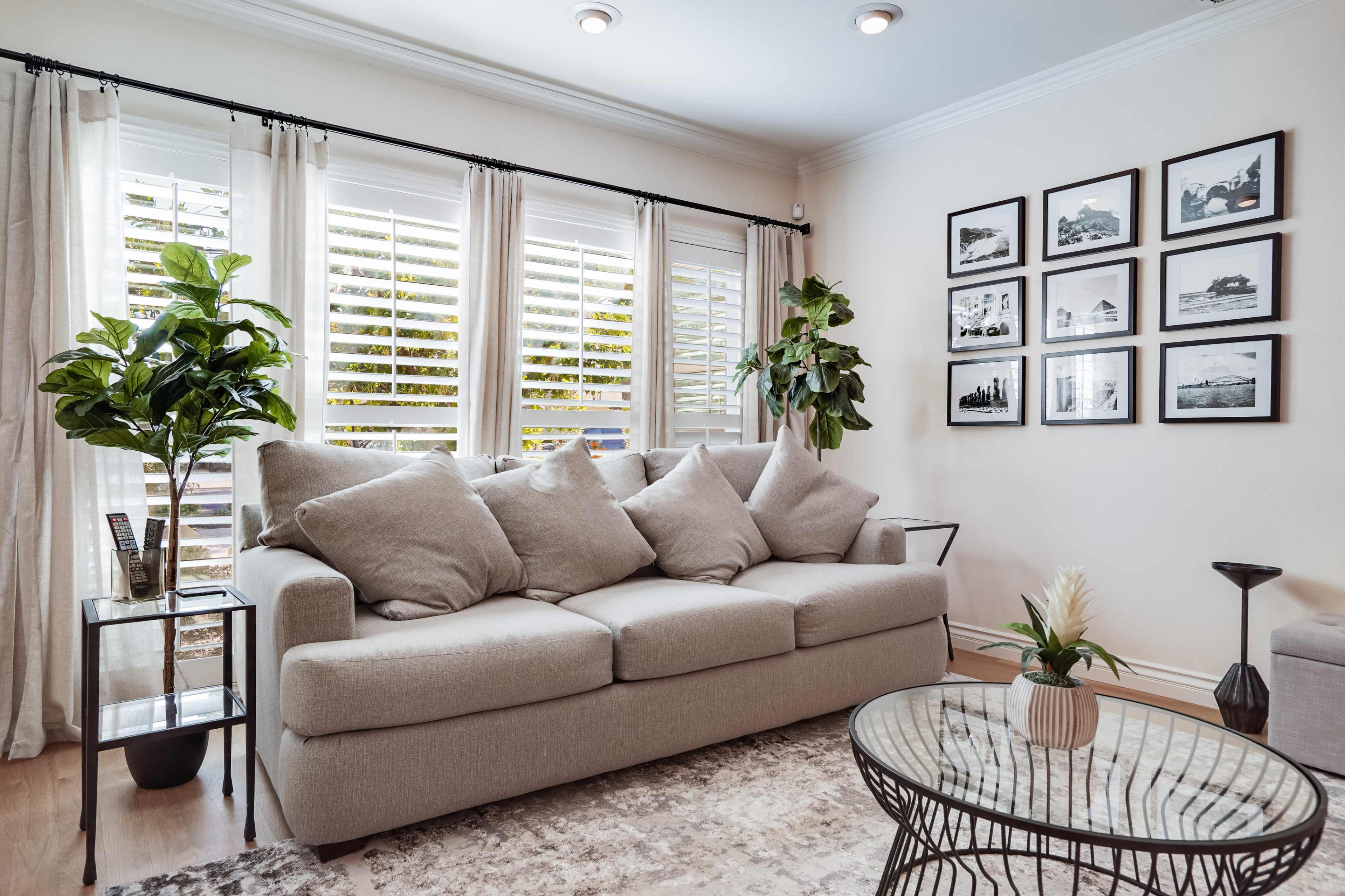 A cozy living room with a light gray sofa, decorative pillows, a glass coffee table, and framed black-and-white photos on the wall beside plants and natural light coming through the windows.