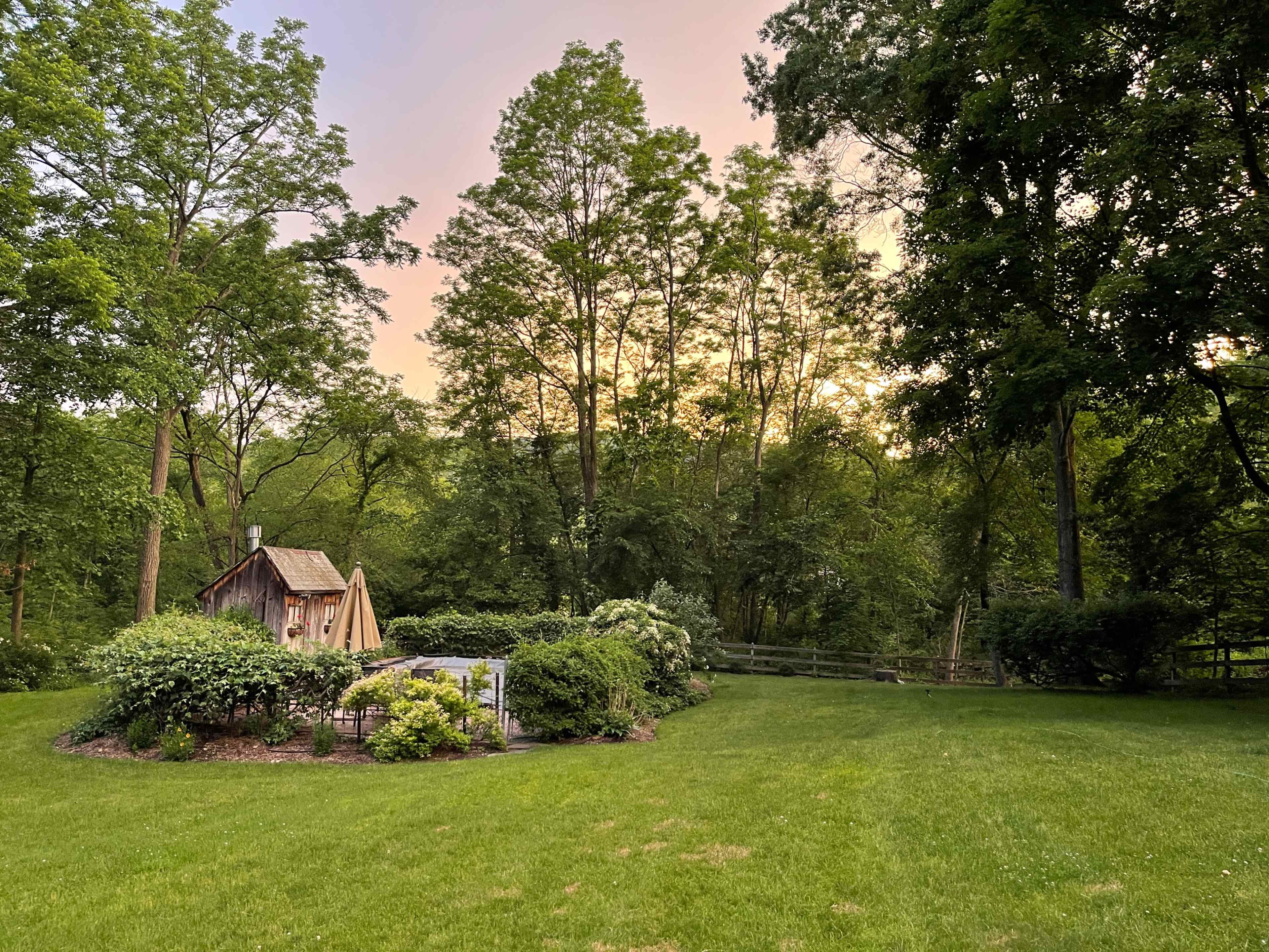 A grassy yard with a small wooden shed surrounded by trees and bushes, set against a backdrop of a sunset sky.